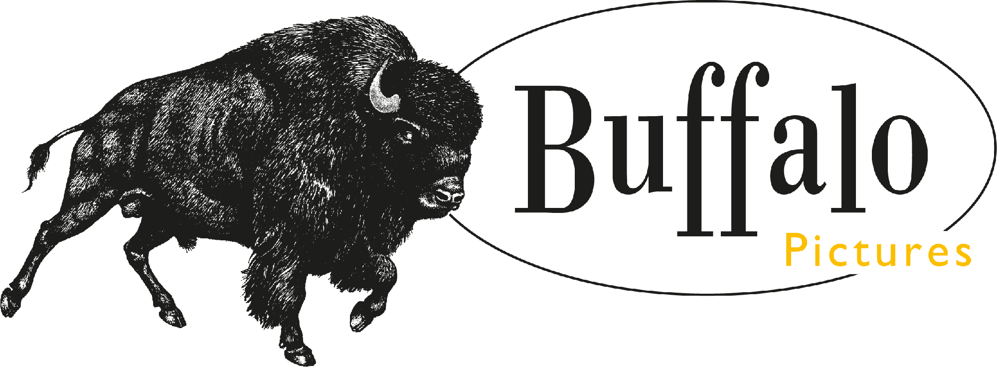 Buffalo Pictures Logo