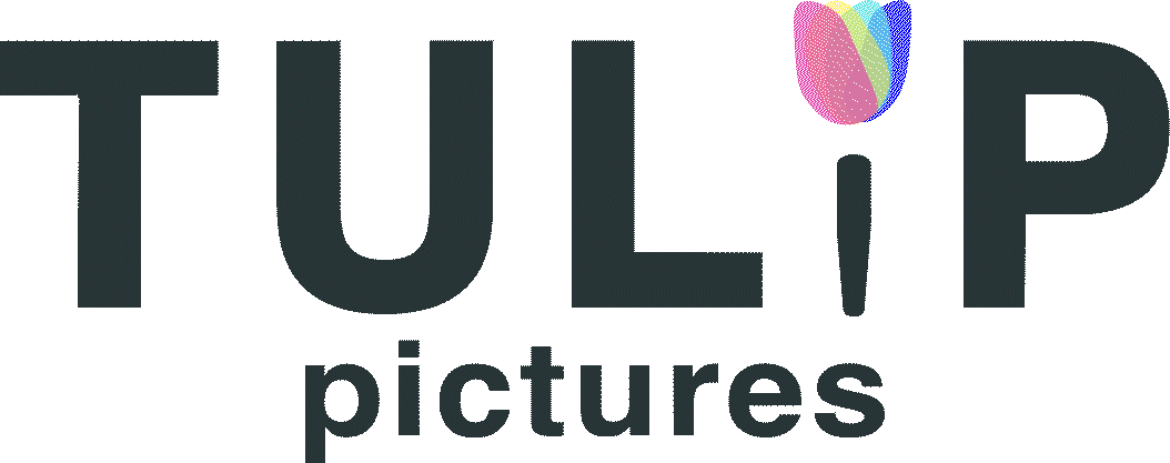 Tulip Pictures Logo