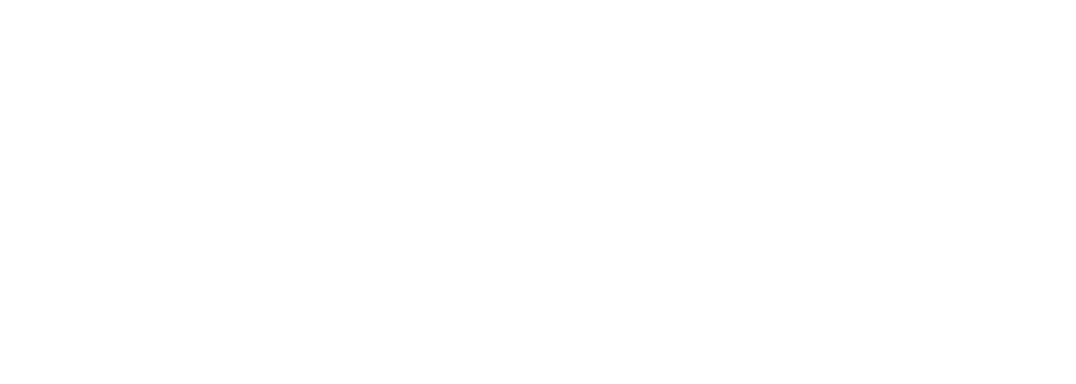 THE TINTIRIN TEAM Logo