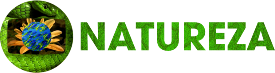 Globo Natureza Logo