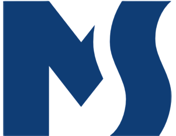 Mediaslovo Logo
