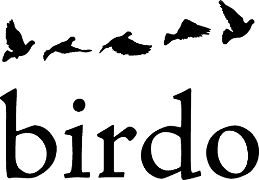 Birdo Studio Logo