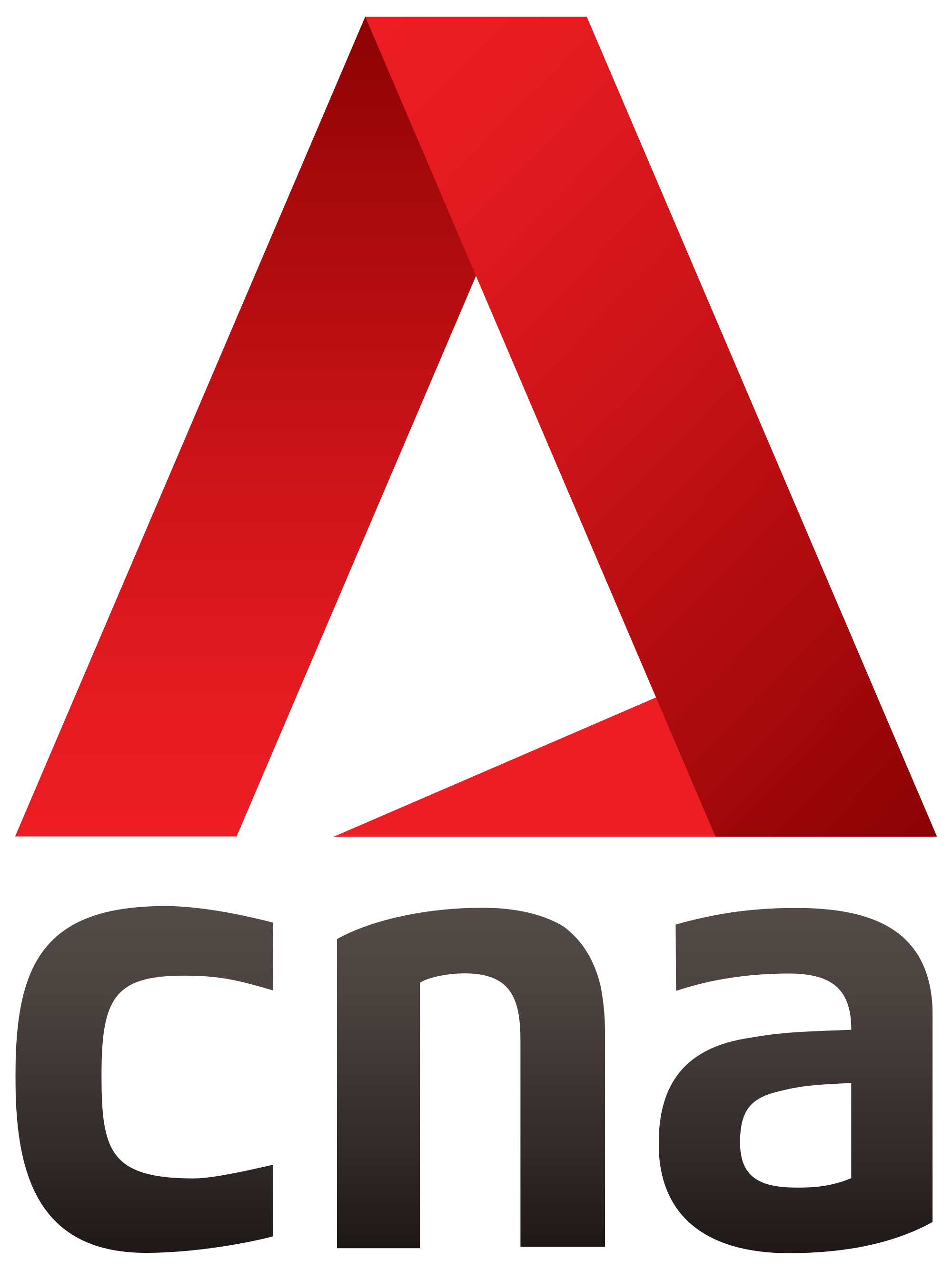 CNA Logo