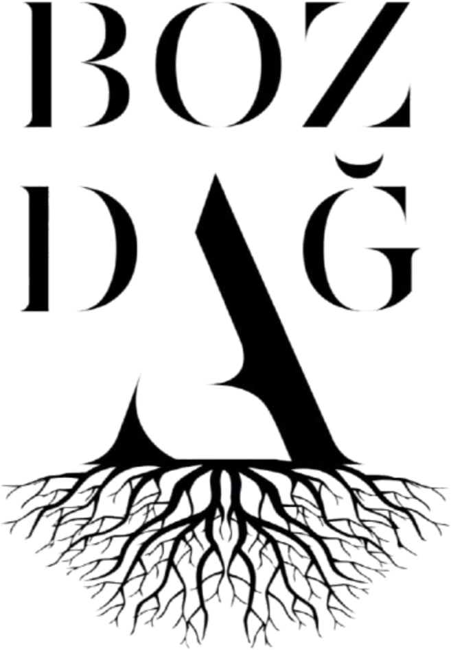 Bozdağ Film Logo