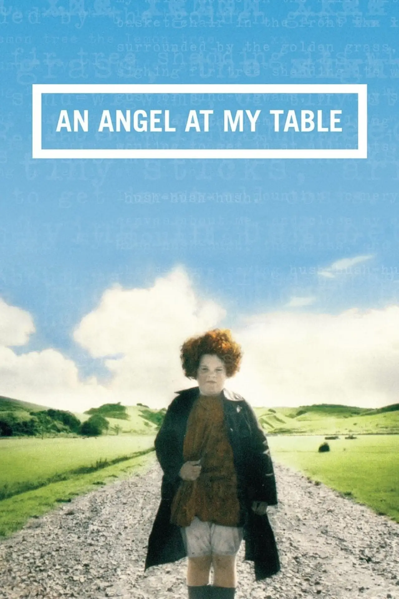 Movie poster "An Angel at My Table"
