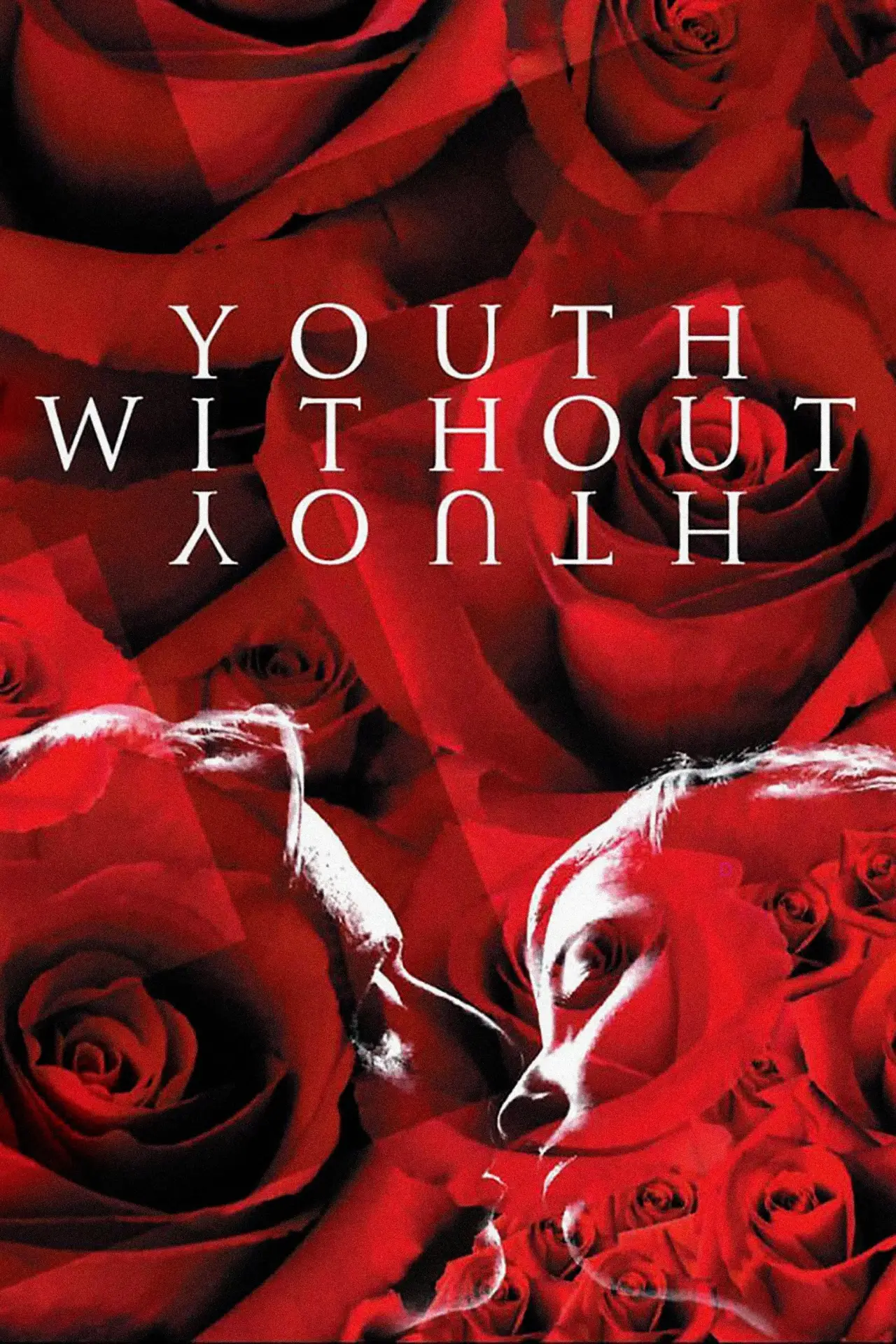Movie poster "Youth Without Youth"