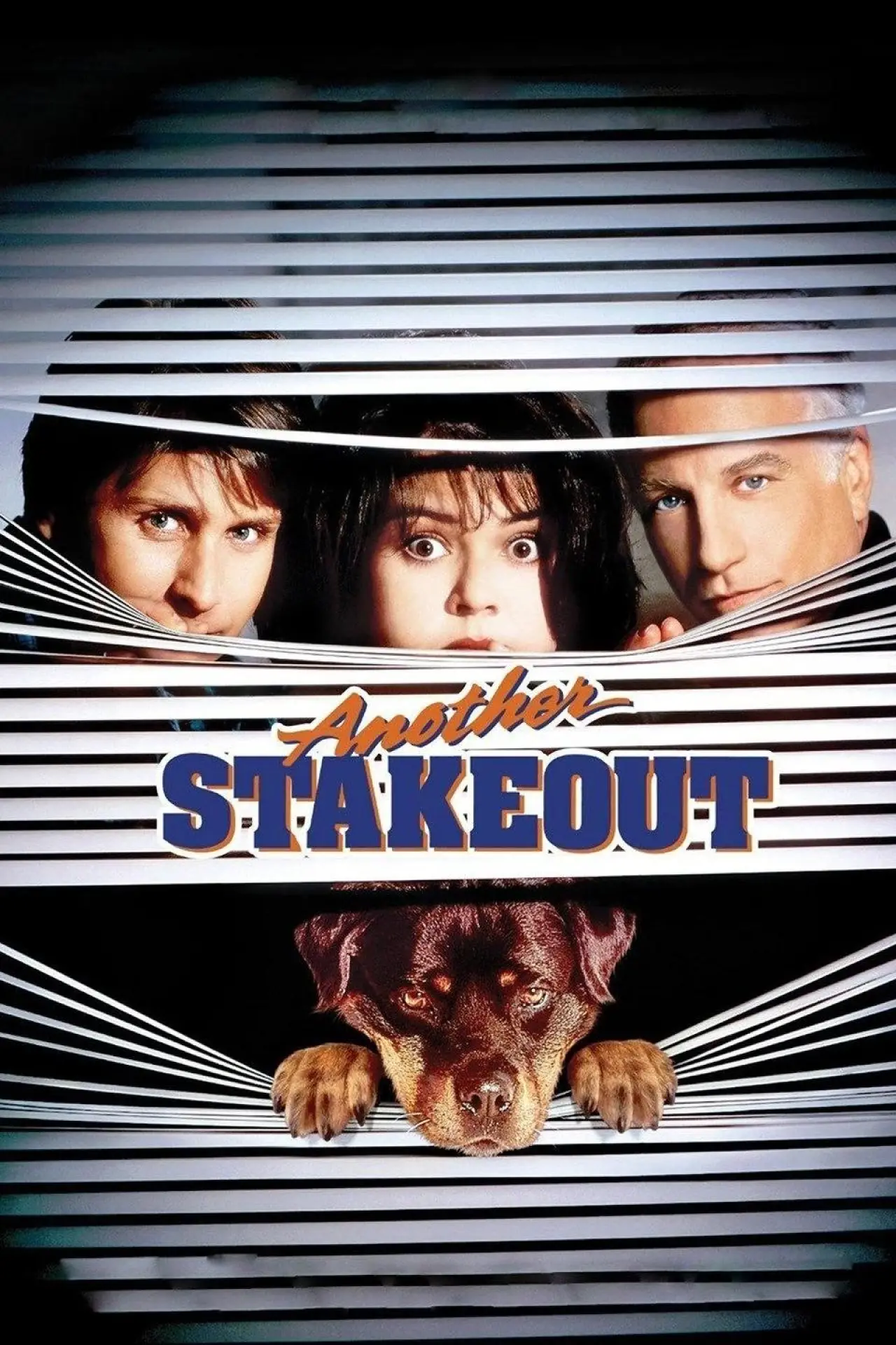 Movie poster "Another Stakeout"