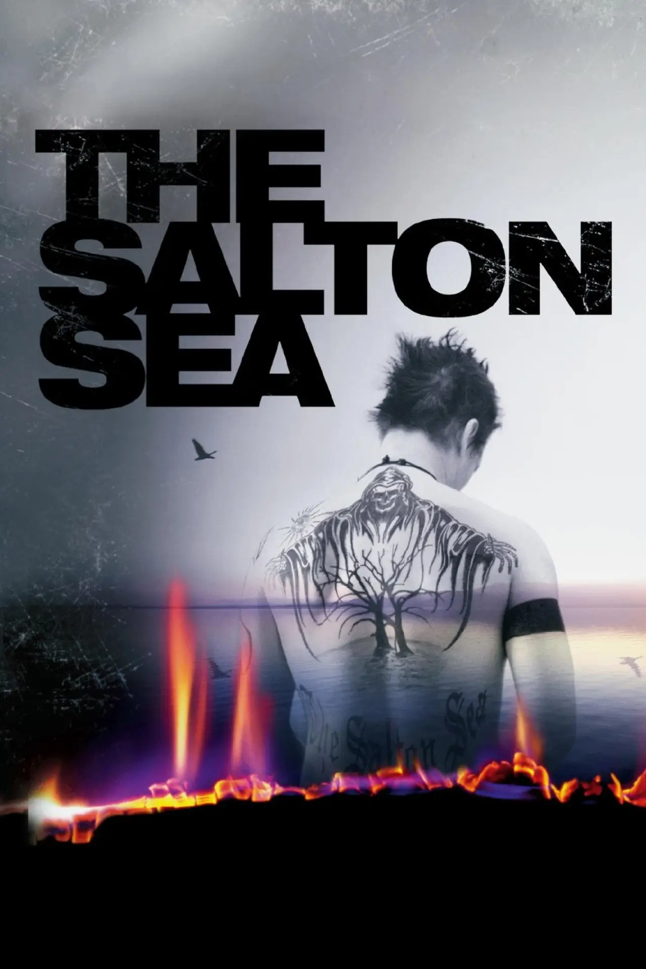 Movie poster "The Salton Sea"