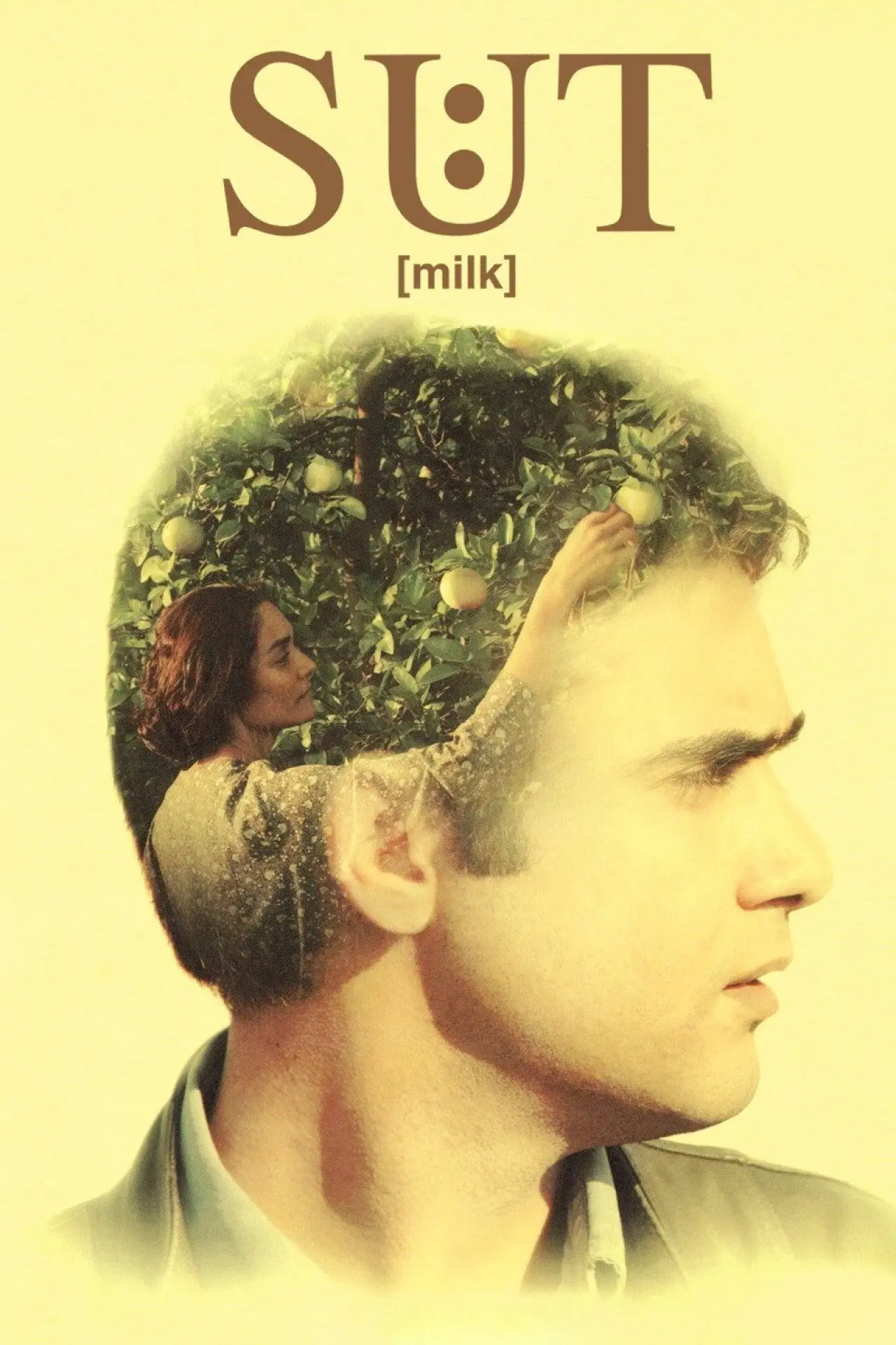 Movie poster "Milk"