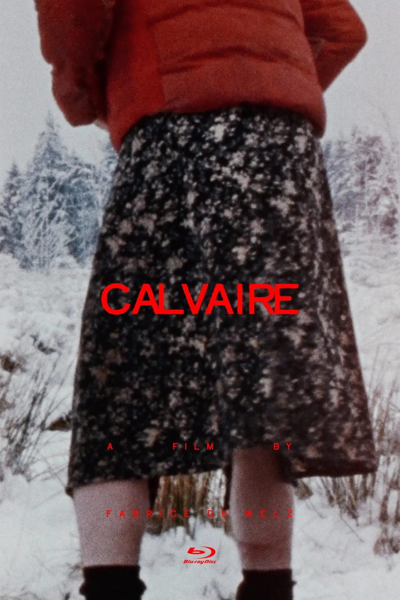 Movie poster "Calvaire"
