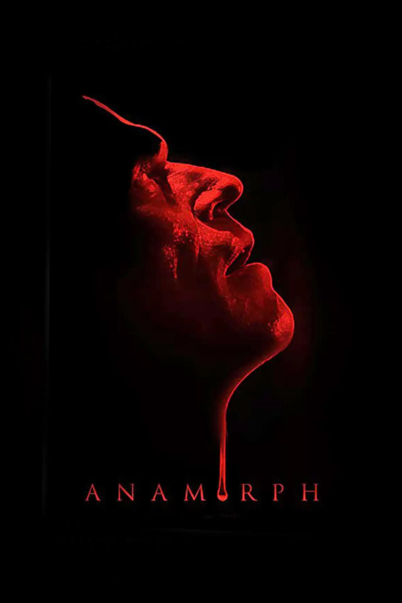 Movie poster "Anamorph"