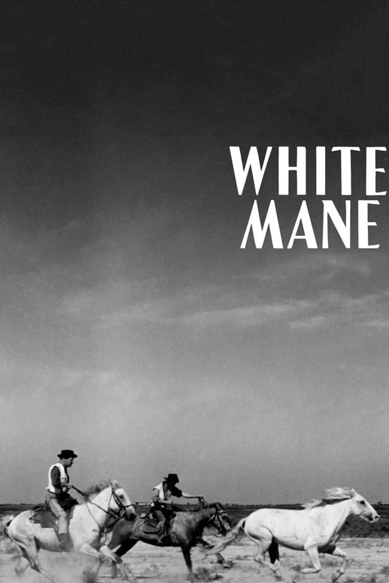 Movie poster "White Mane"