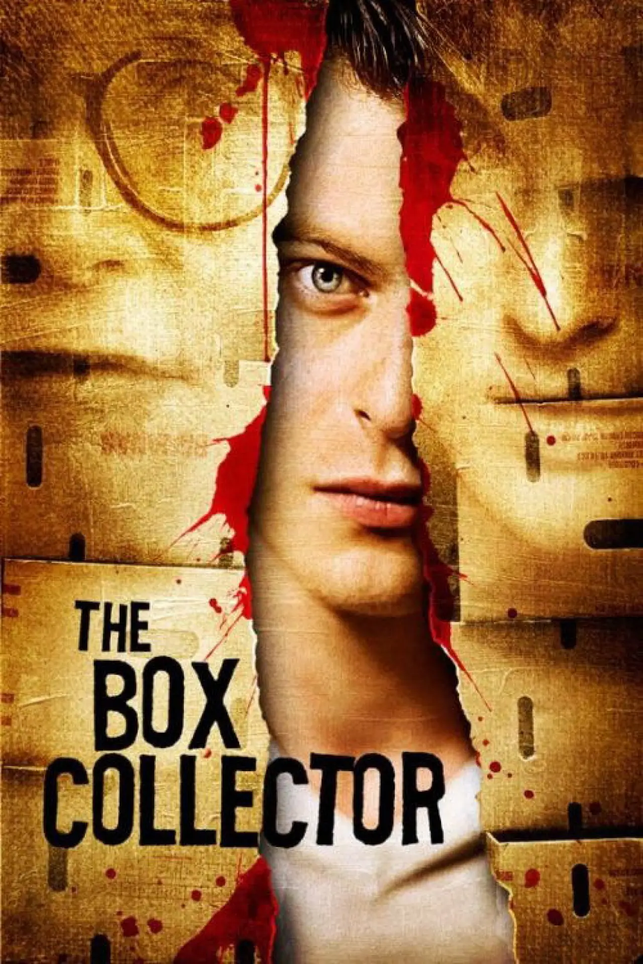 Movie poster "The Box Collector"
