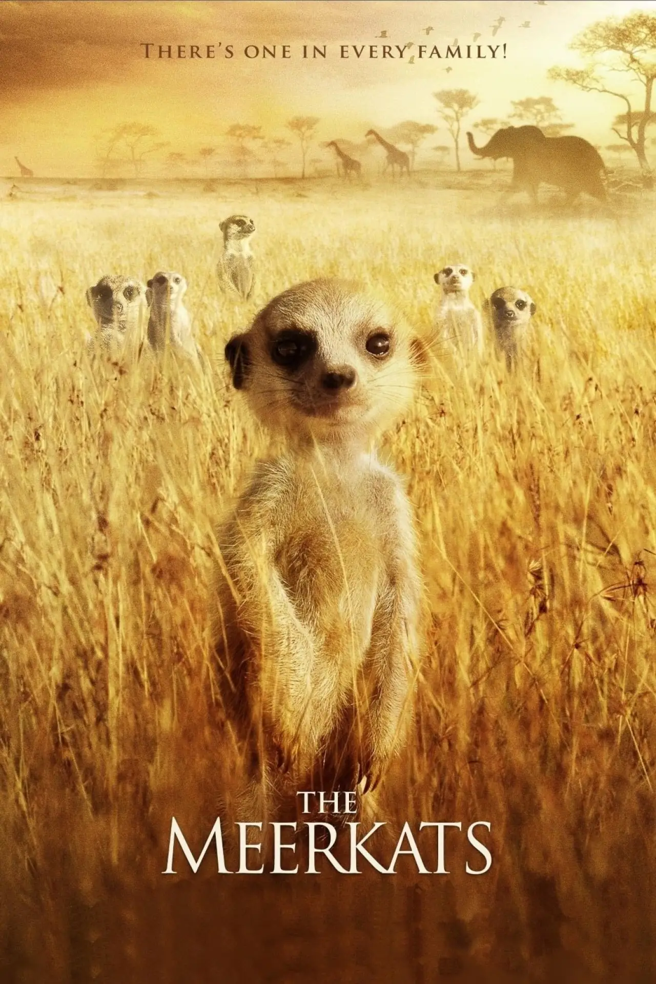 Movie poster "The Meerkats"