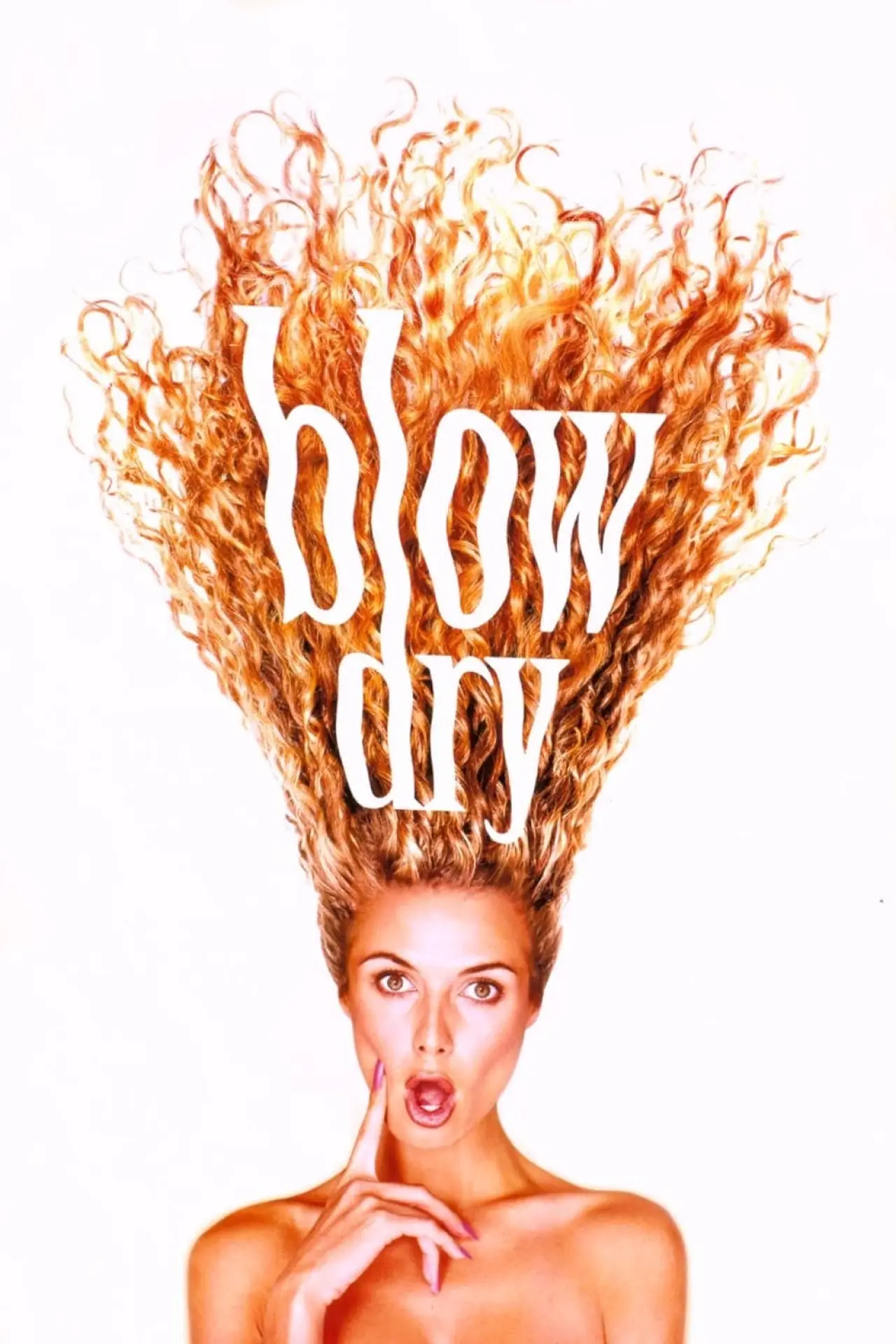 Movie poster "Blow Dry"