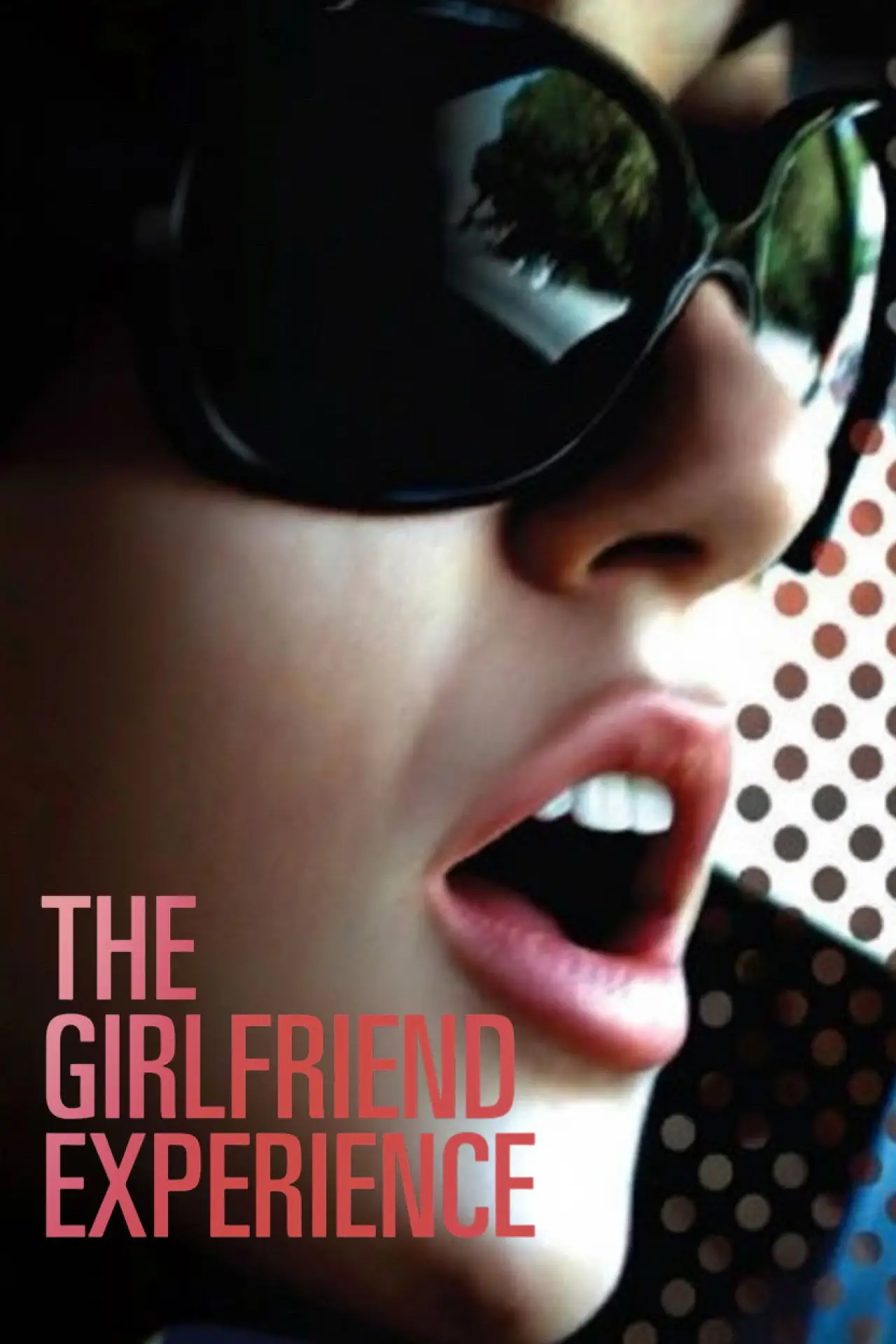 Movie poster "The Girlfriend Experience"