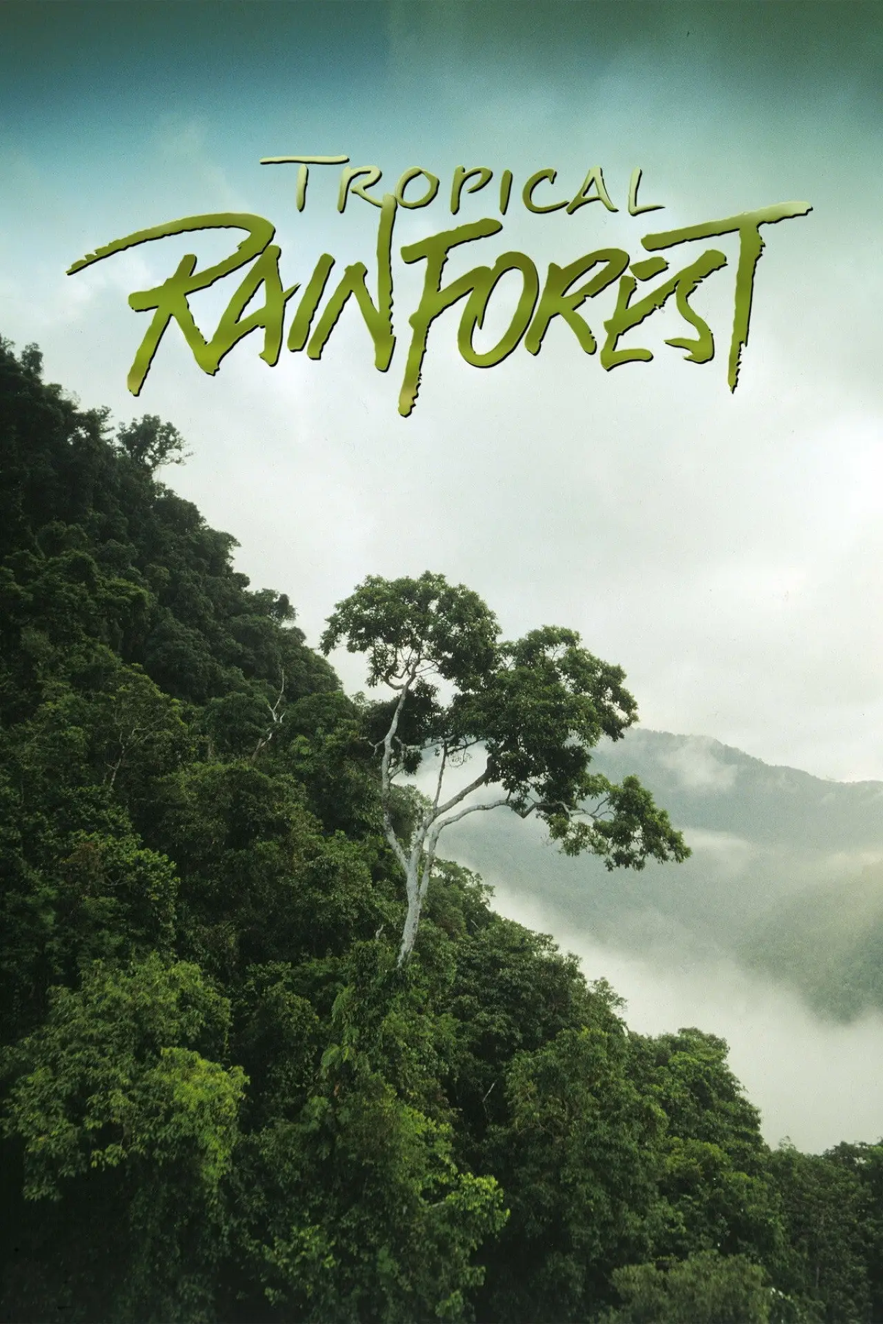 Movie poster "Tropical Rainforest"