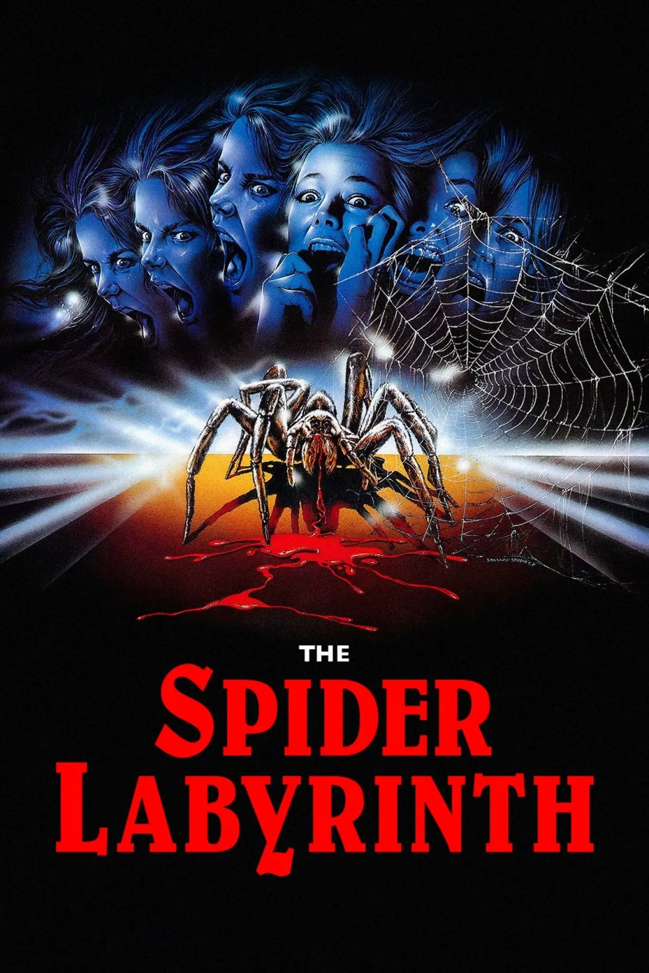 Movie poster "The Spider Labyrinth"