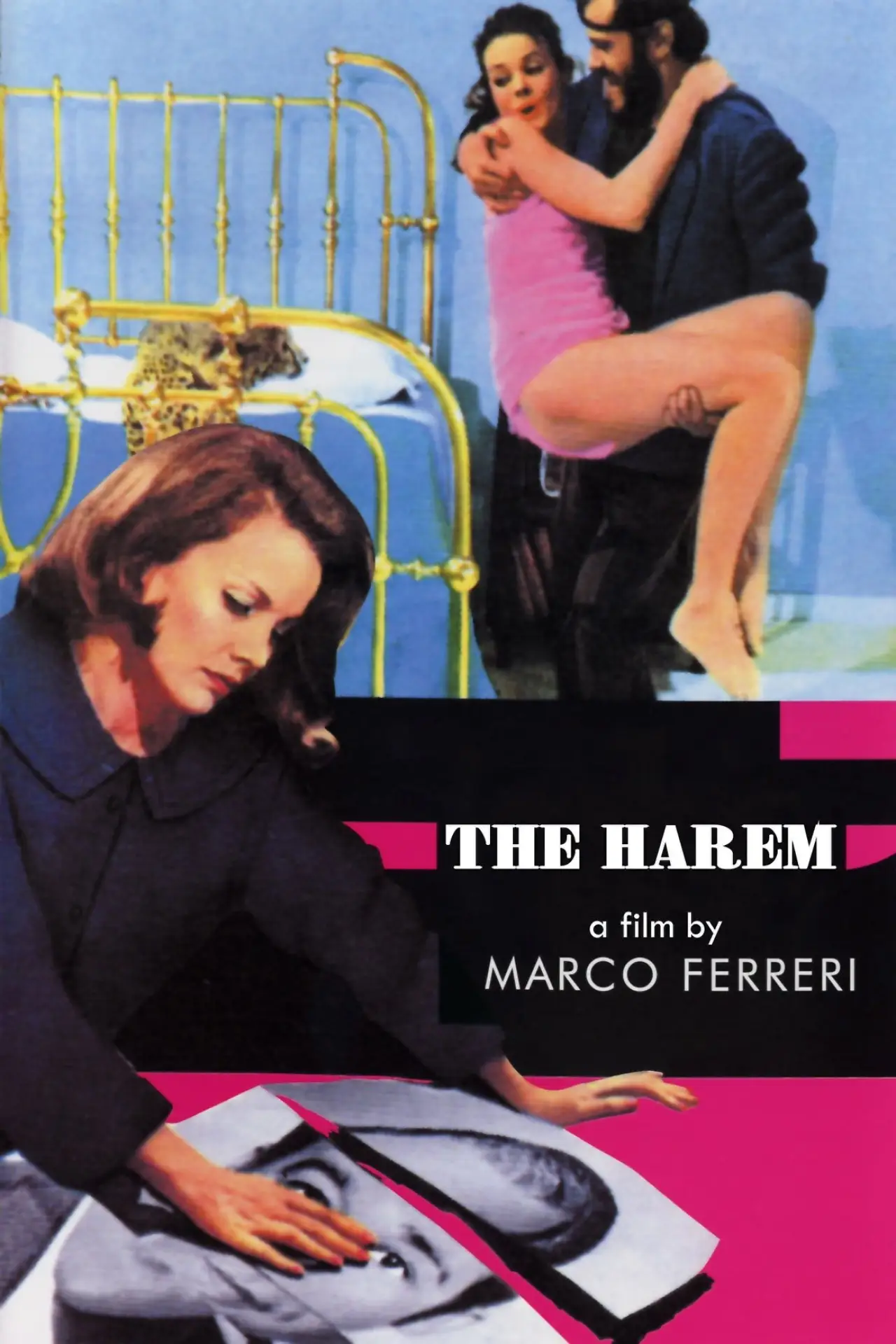 Movie poster "The Harem"