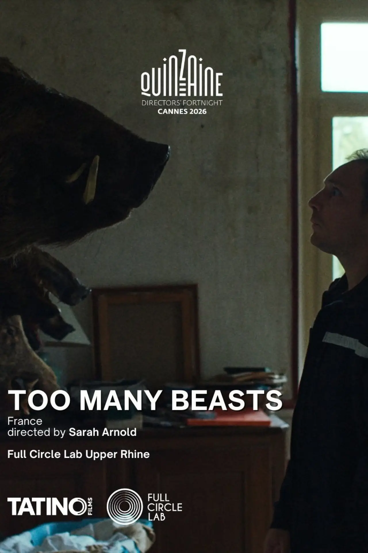 Movie poster "Too Many Beasts"