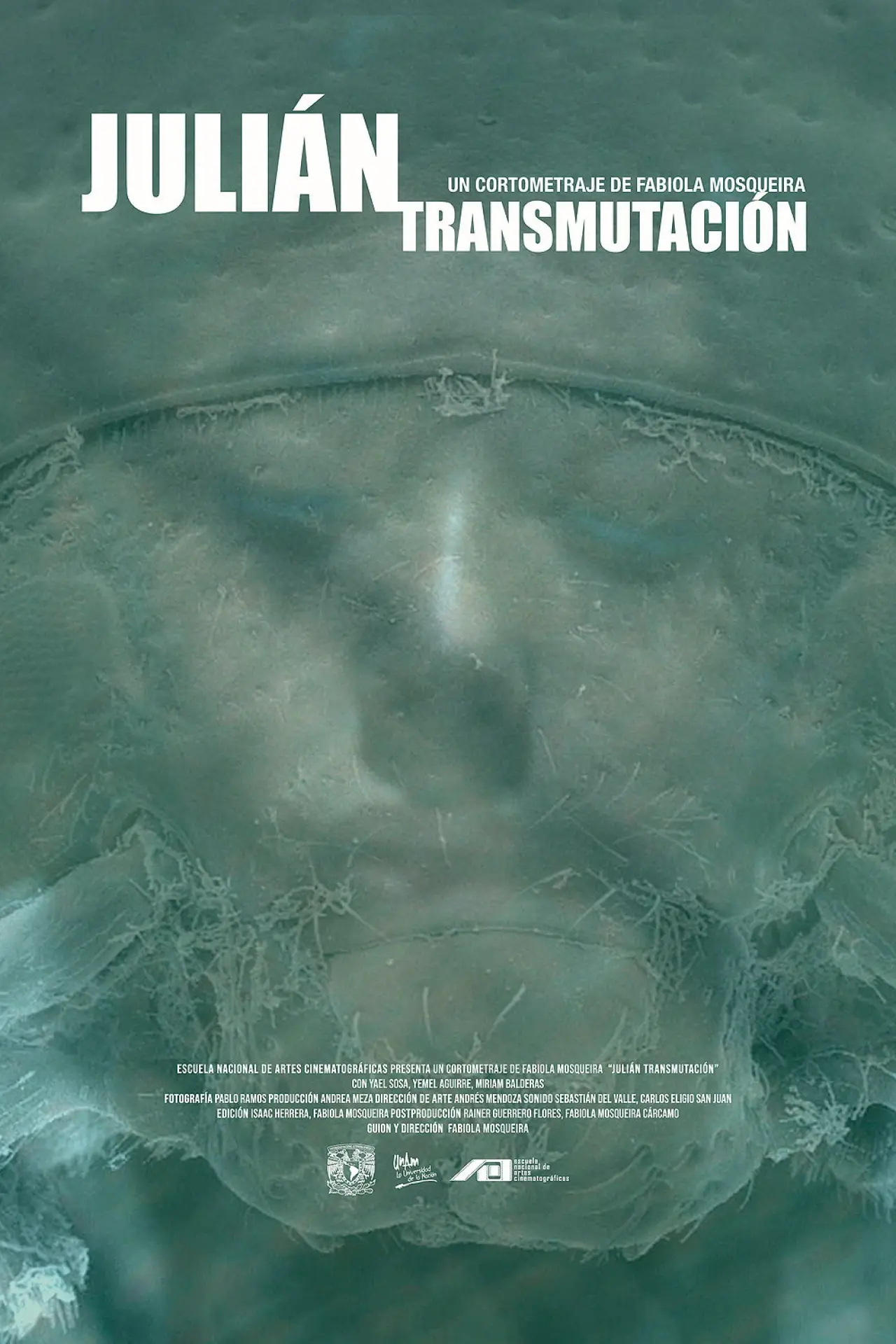 Movie poster "Julián (Transmutación)"