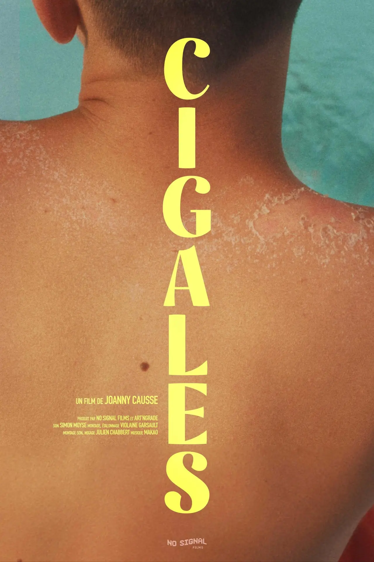 Movie poster "Cicadas"