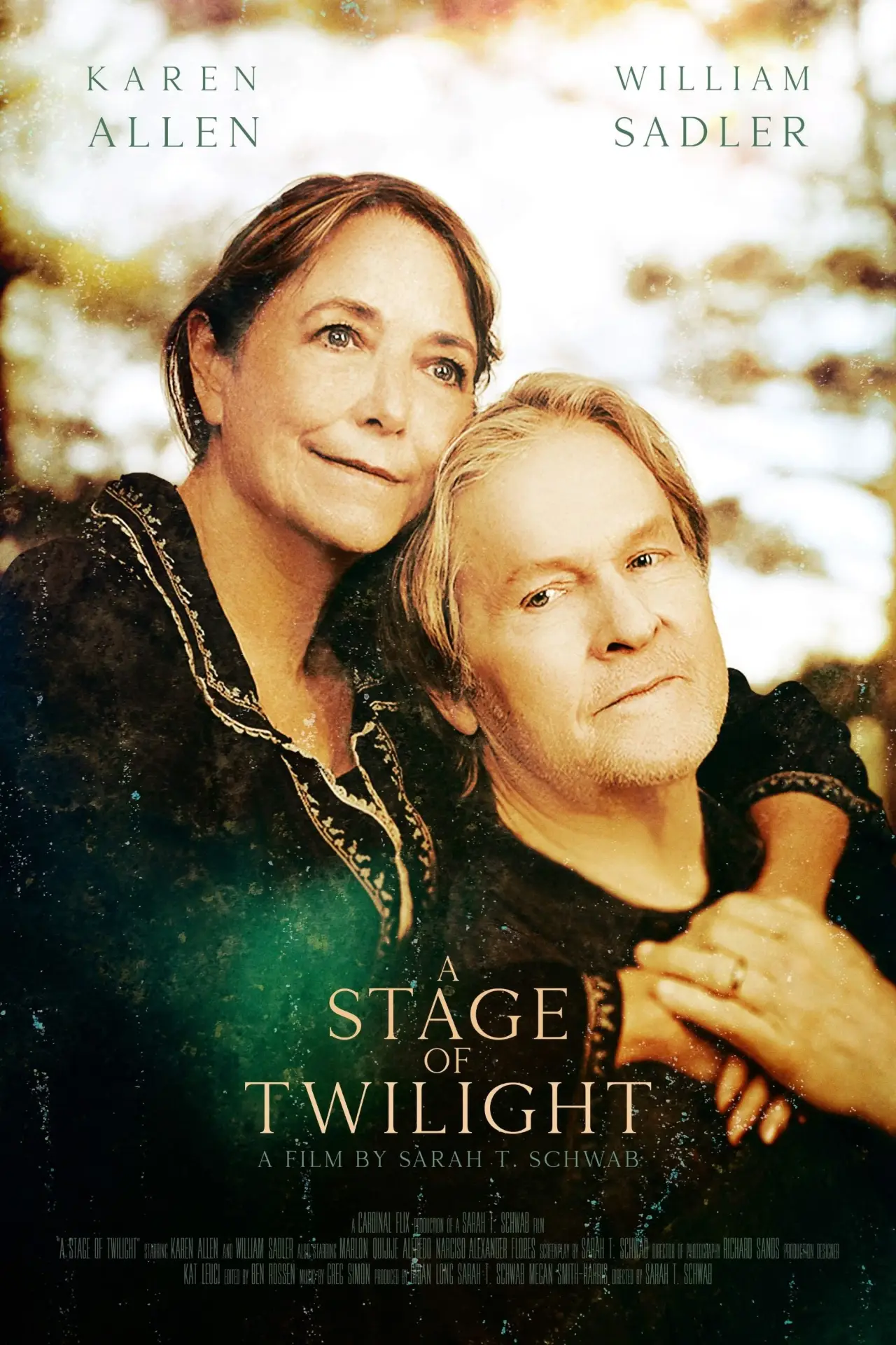 Movie poster "A Stage of Twilight"