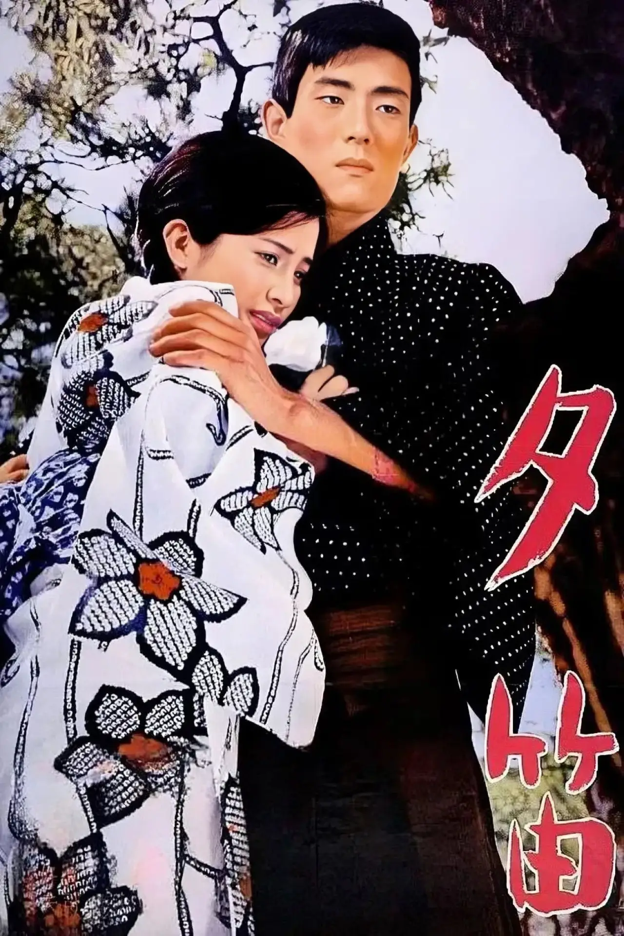 Movie poster "Lost Love"
