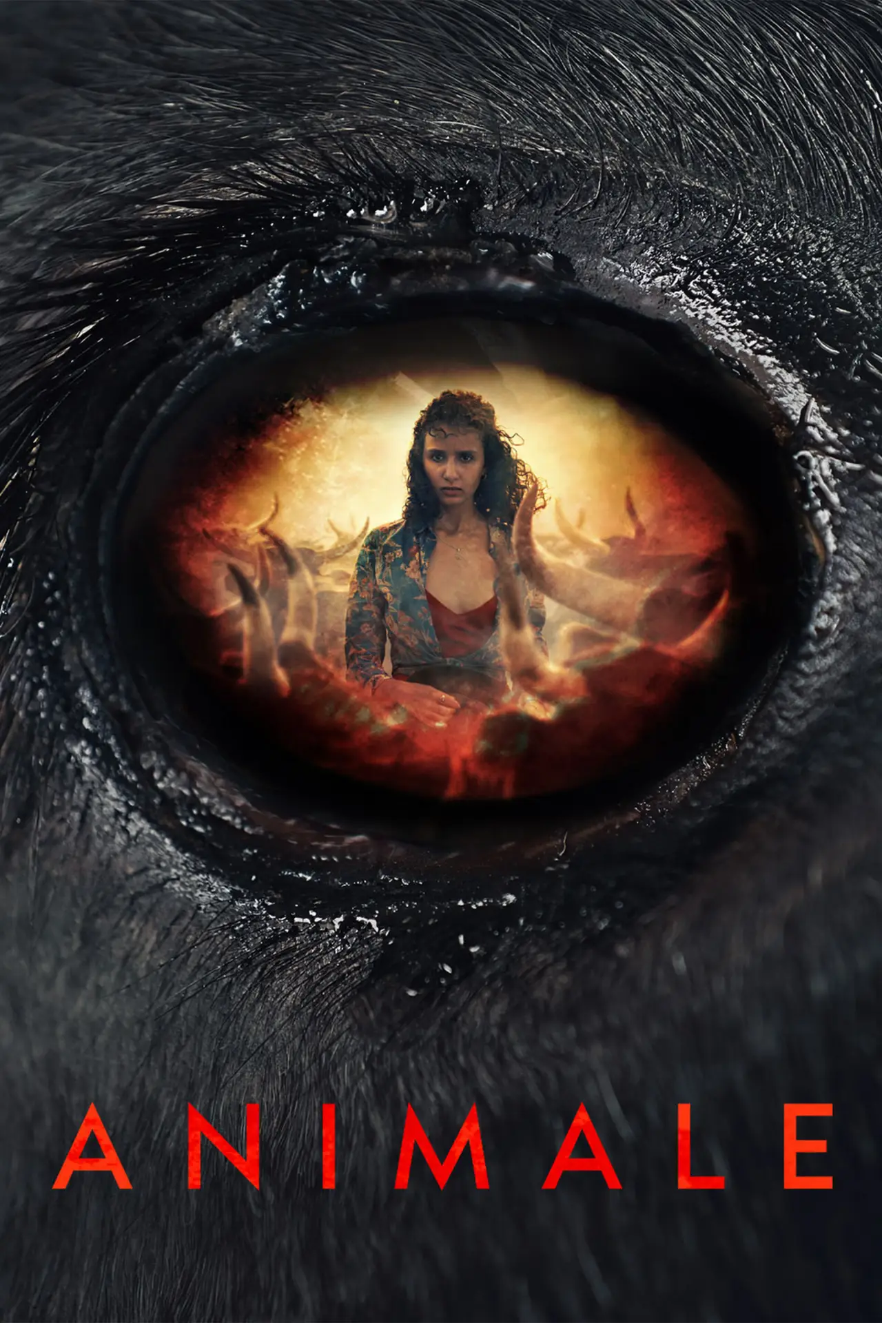 Movie poster "Animale"