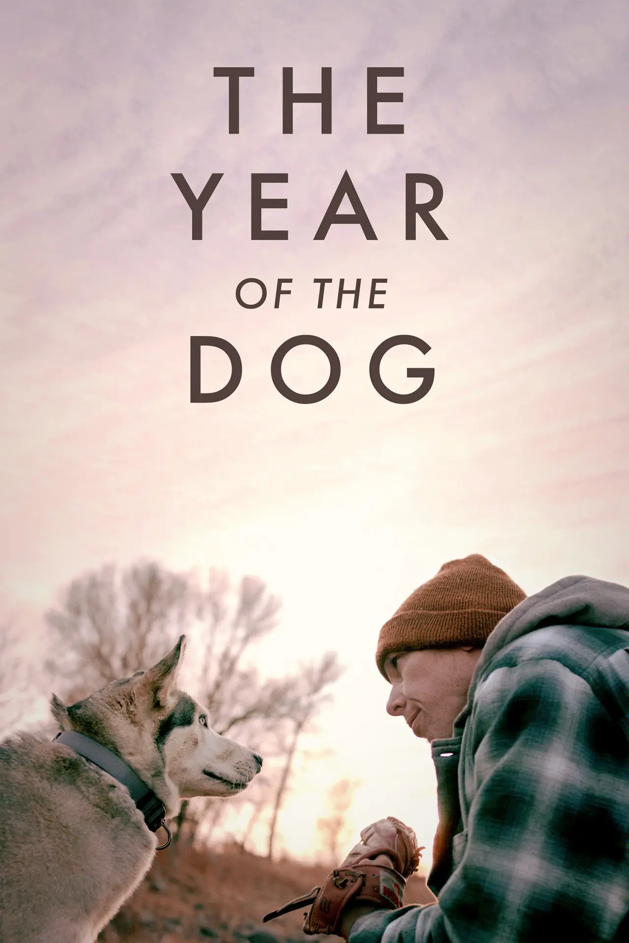 Movie poster "The Year of the Dog"