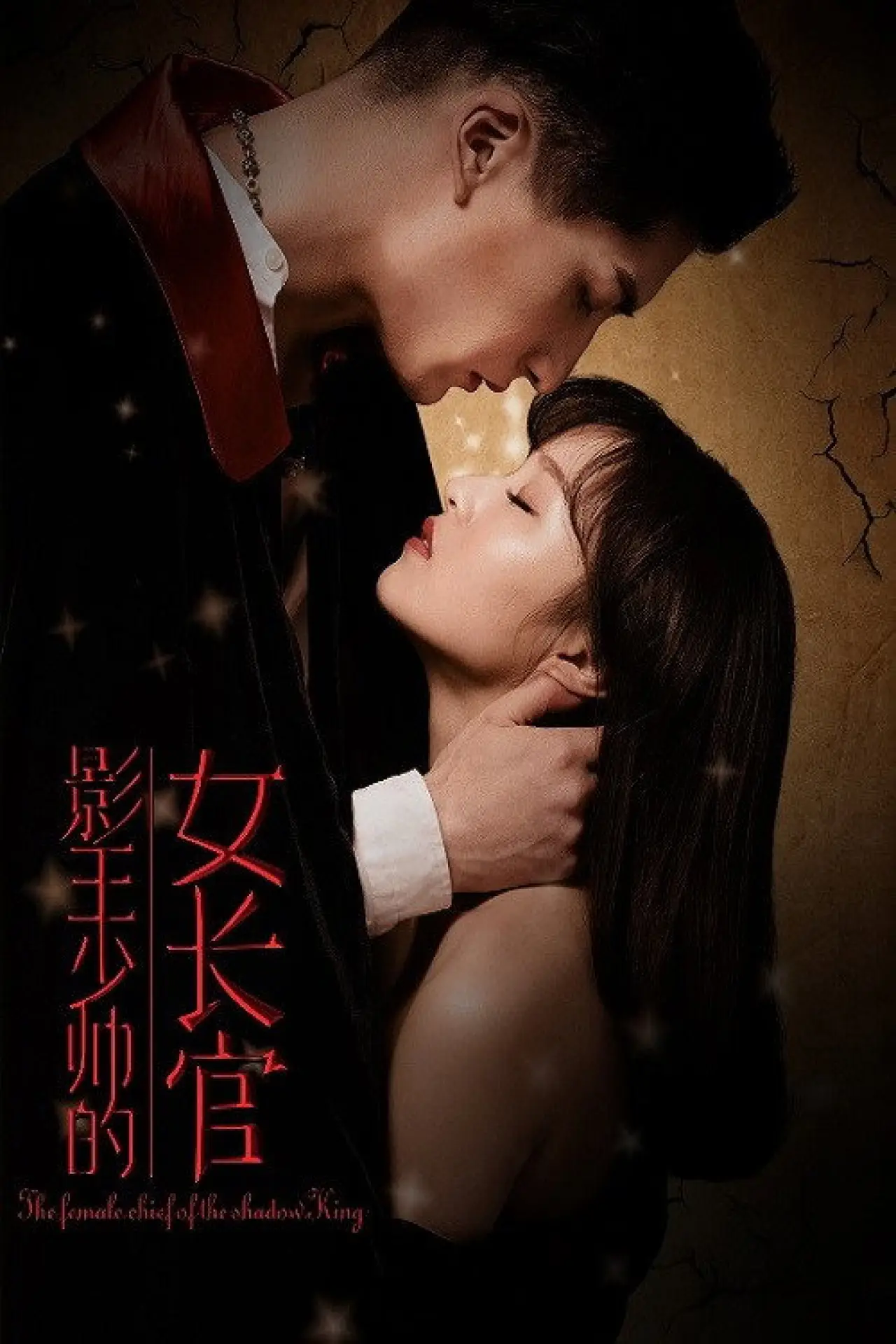 Movie poster "The Female Chief of the Shadow