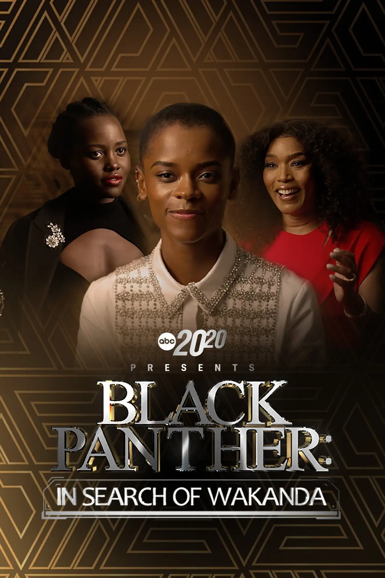 Movie poster "20/20 Presents Black Panther: In Search of Wakanda"