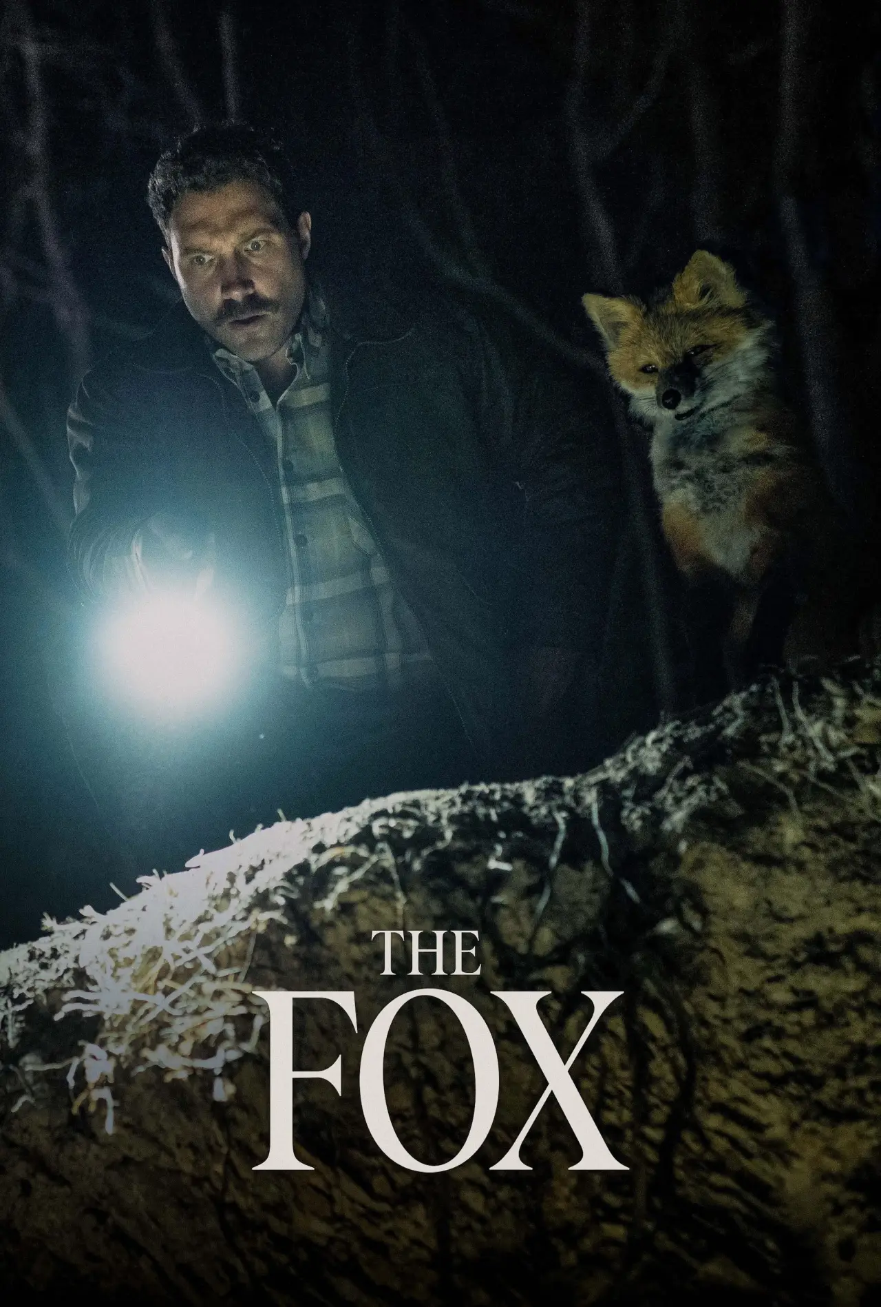 Movie poster "The Fox"