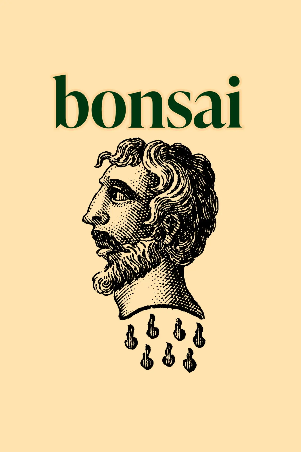 Movie poster "Bonsai"