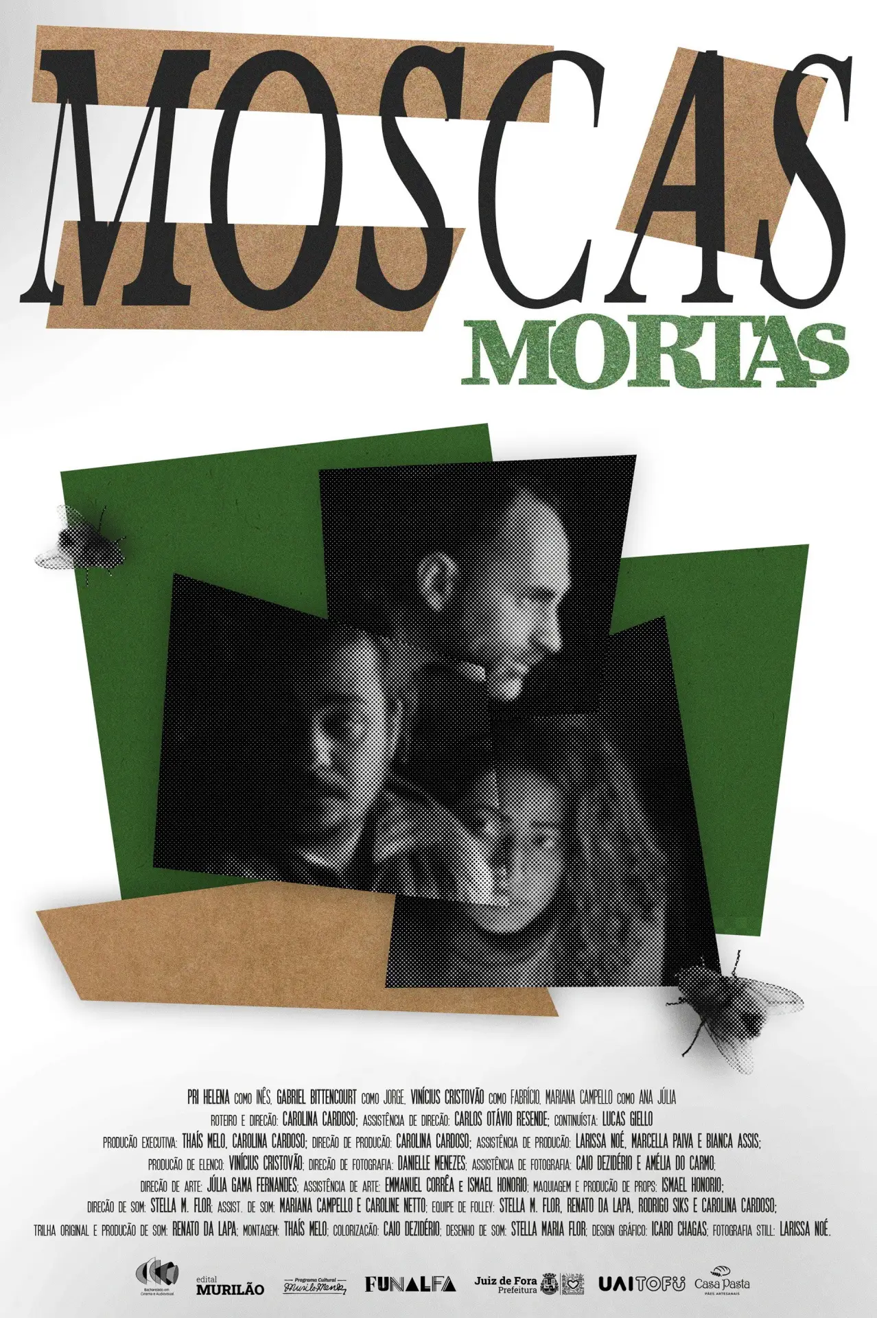 Movie poster "Dead Flies"