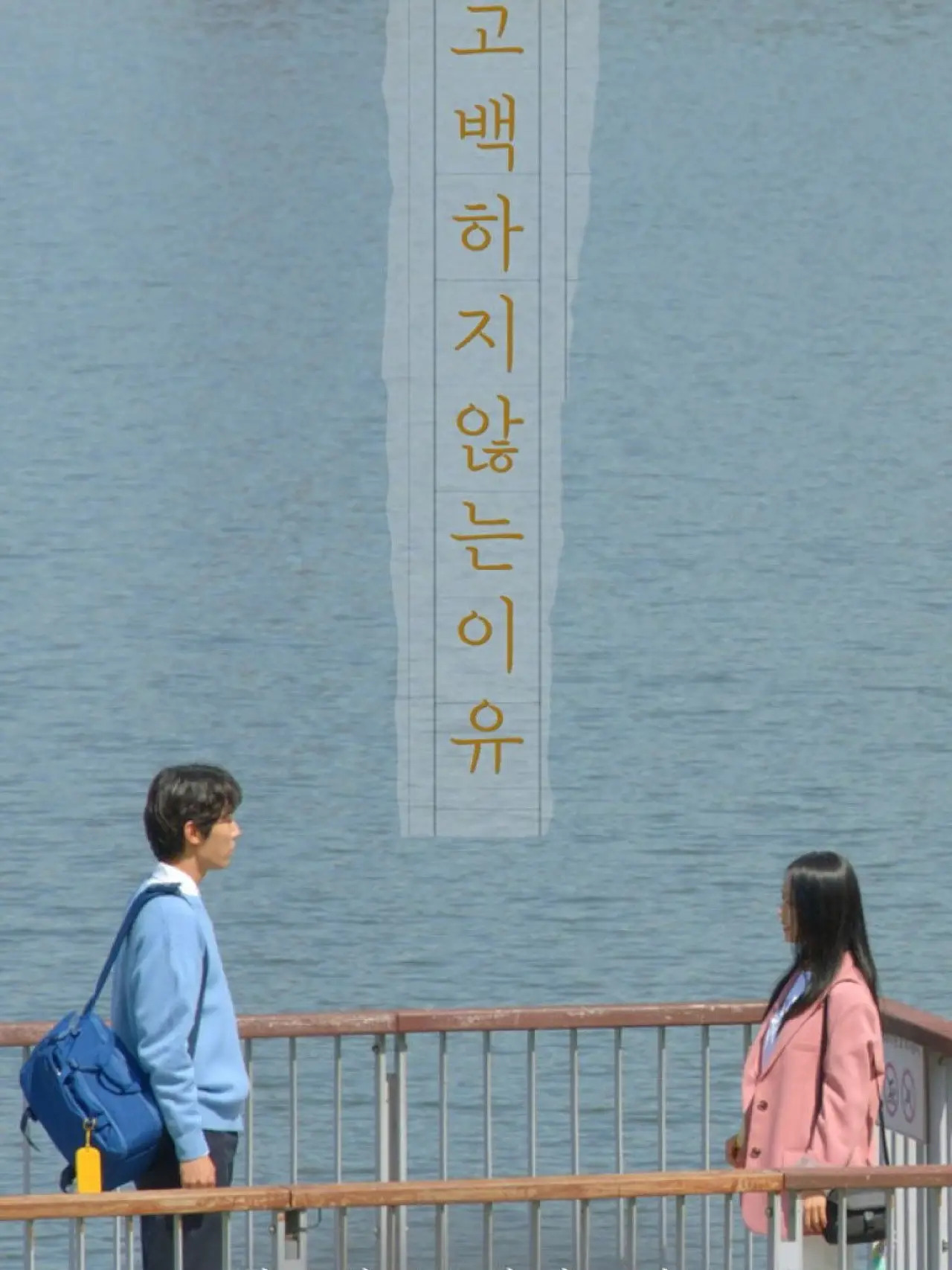 Movie poster "The Reason Not to Confess"