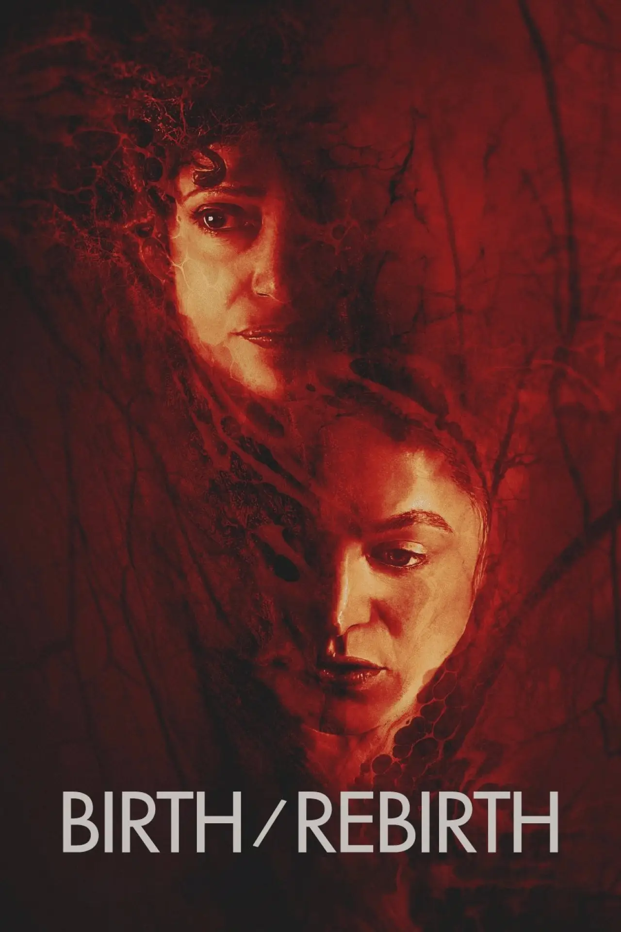 Movie poster "Birth/Rebirth"