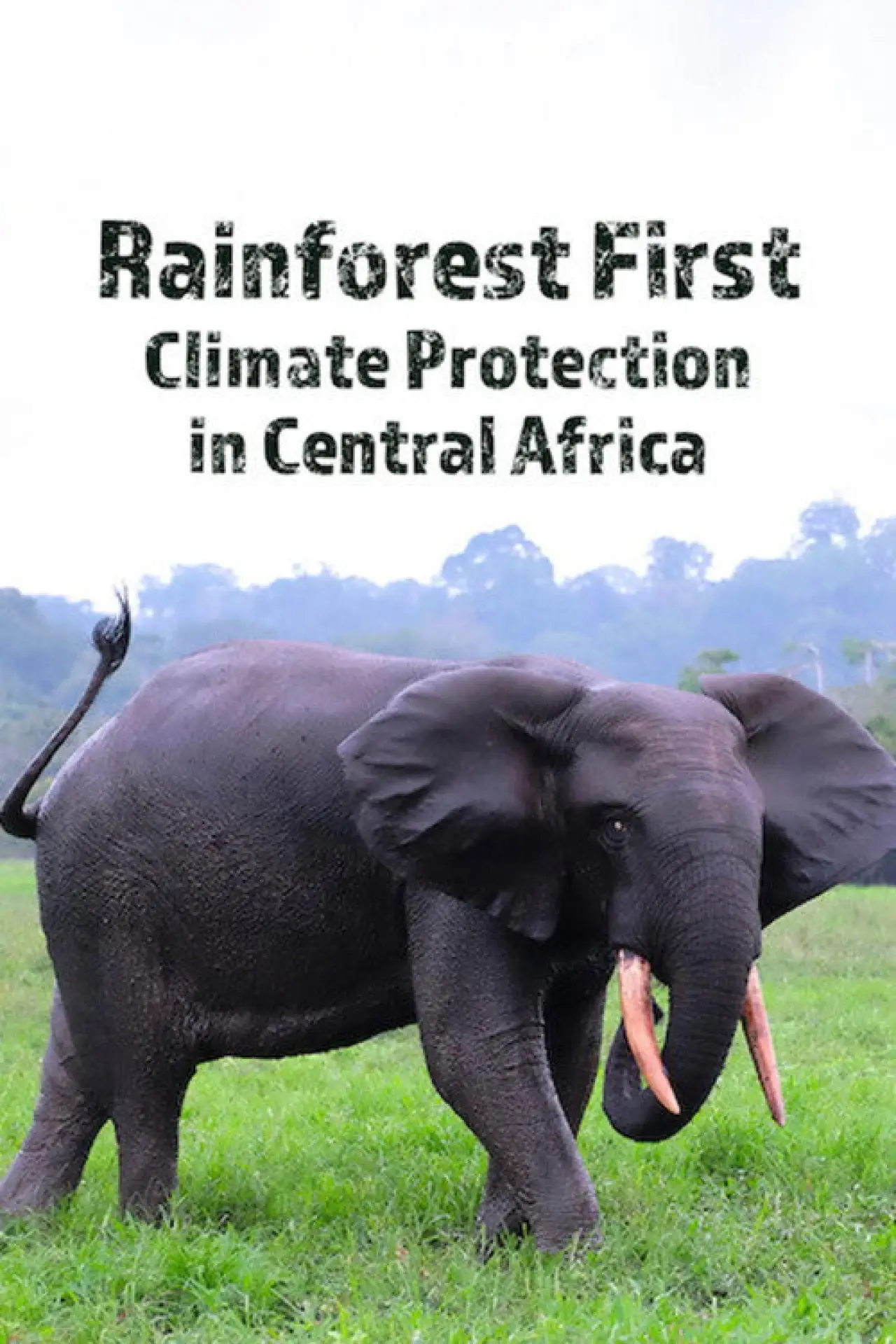 Movie poster "Rainforest First: Climate Protection in Central Africa"