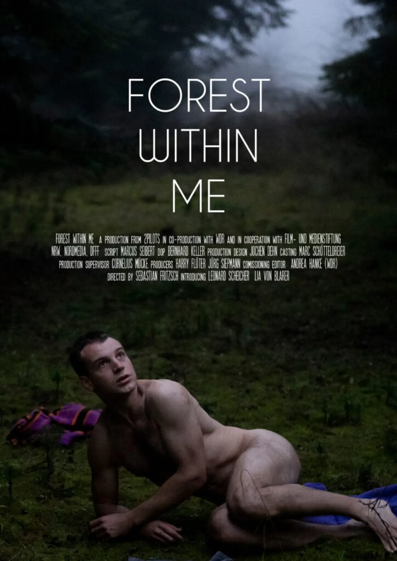 Movie poster "The Forest Within"