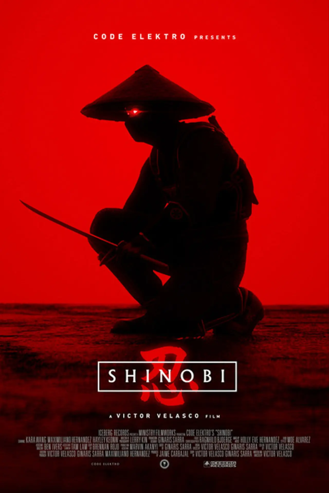 Movie poster "Shinobi"