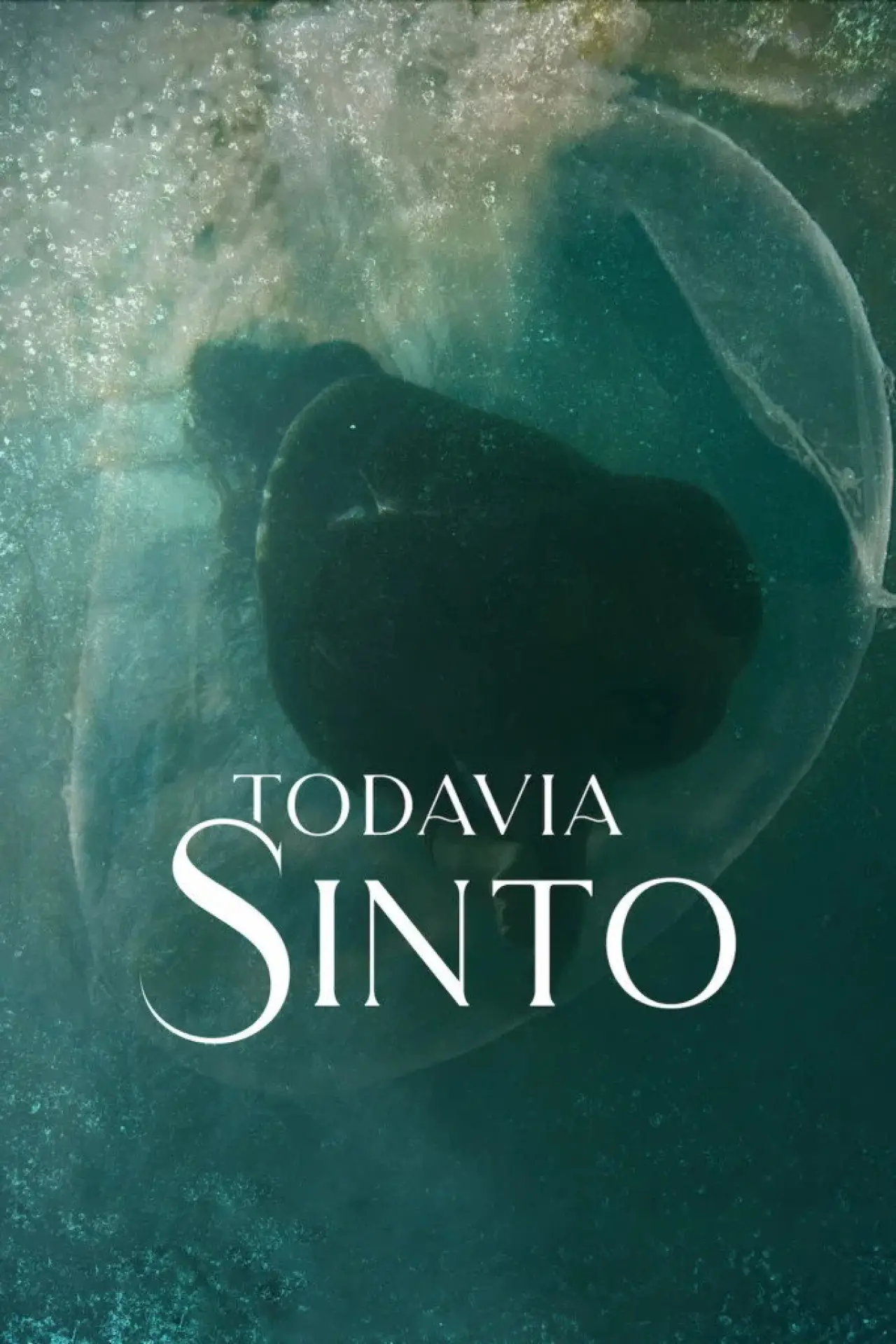 Movie poster "Todavia Sinto"