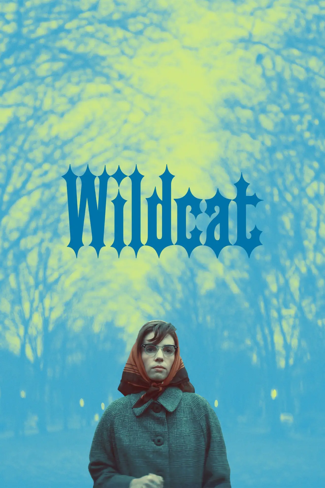Movie poster "Wildcat"