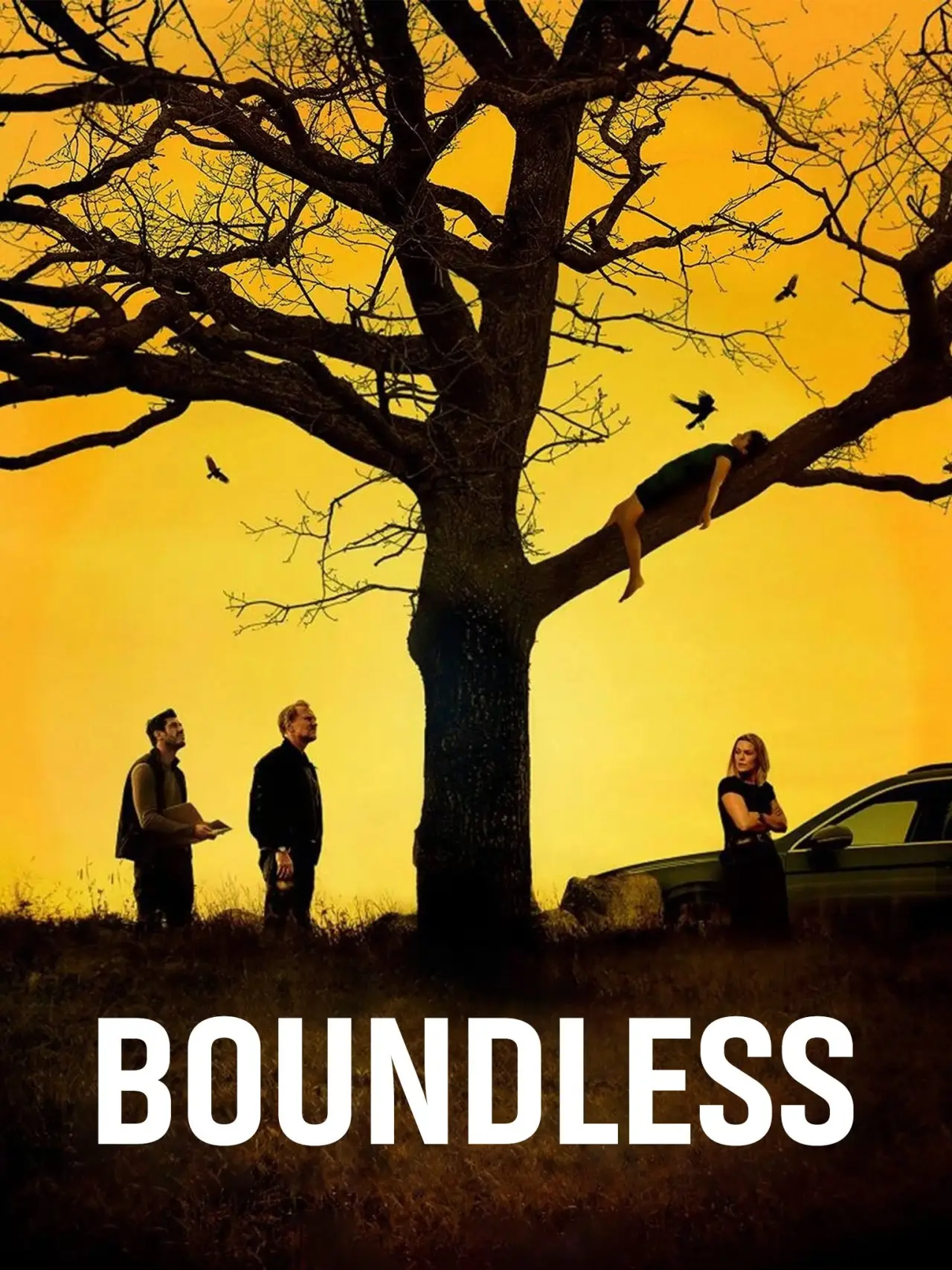 Movie poster "Boundless"