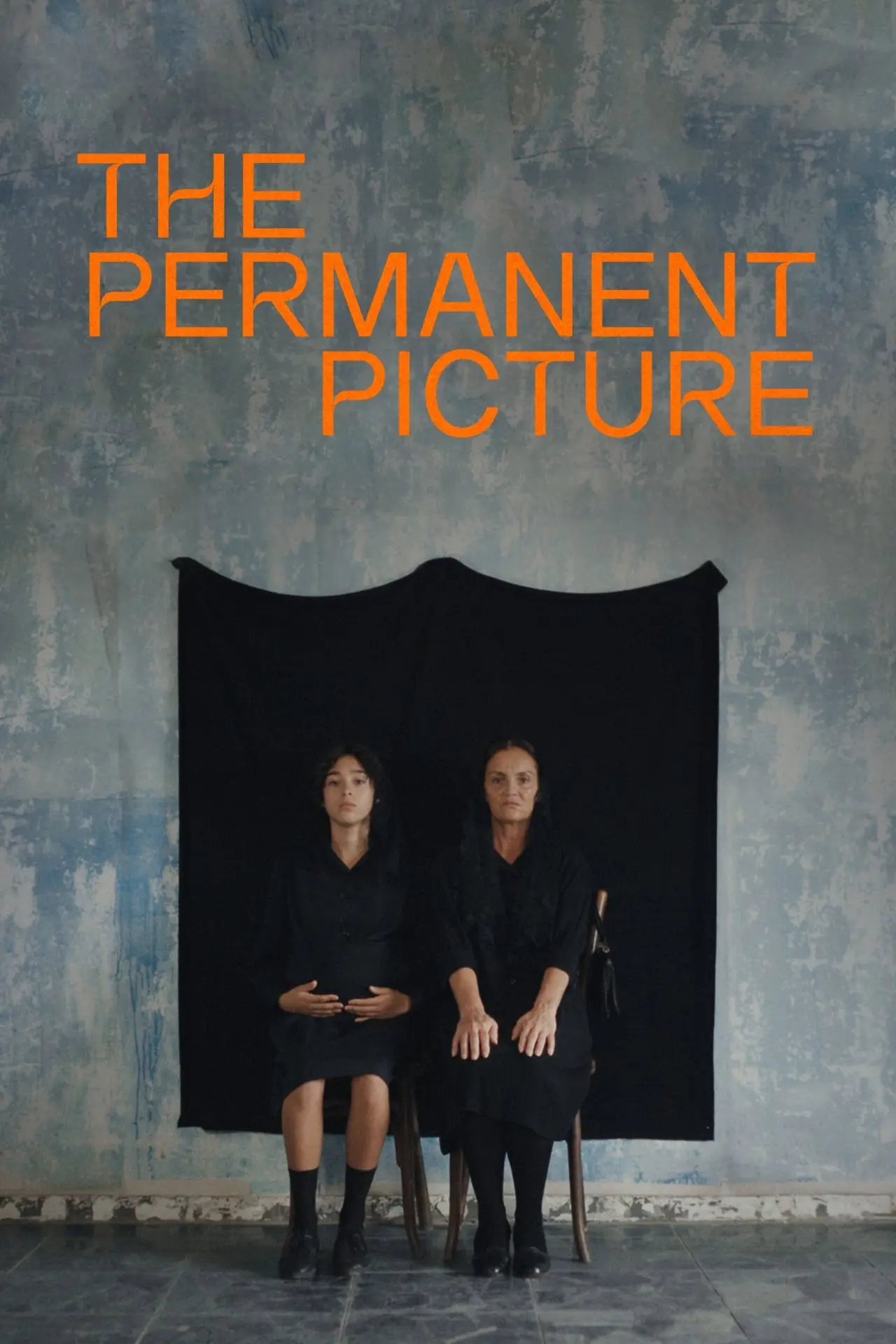 Movie poster "The Permanent Picture"