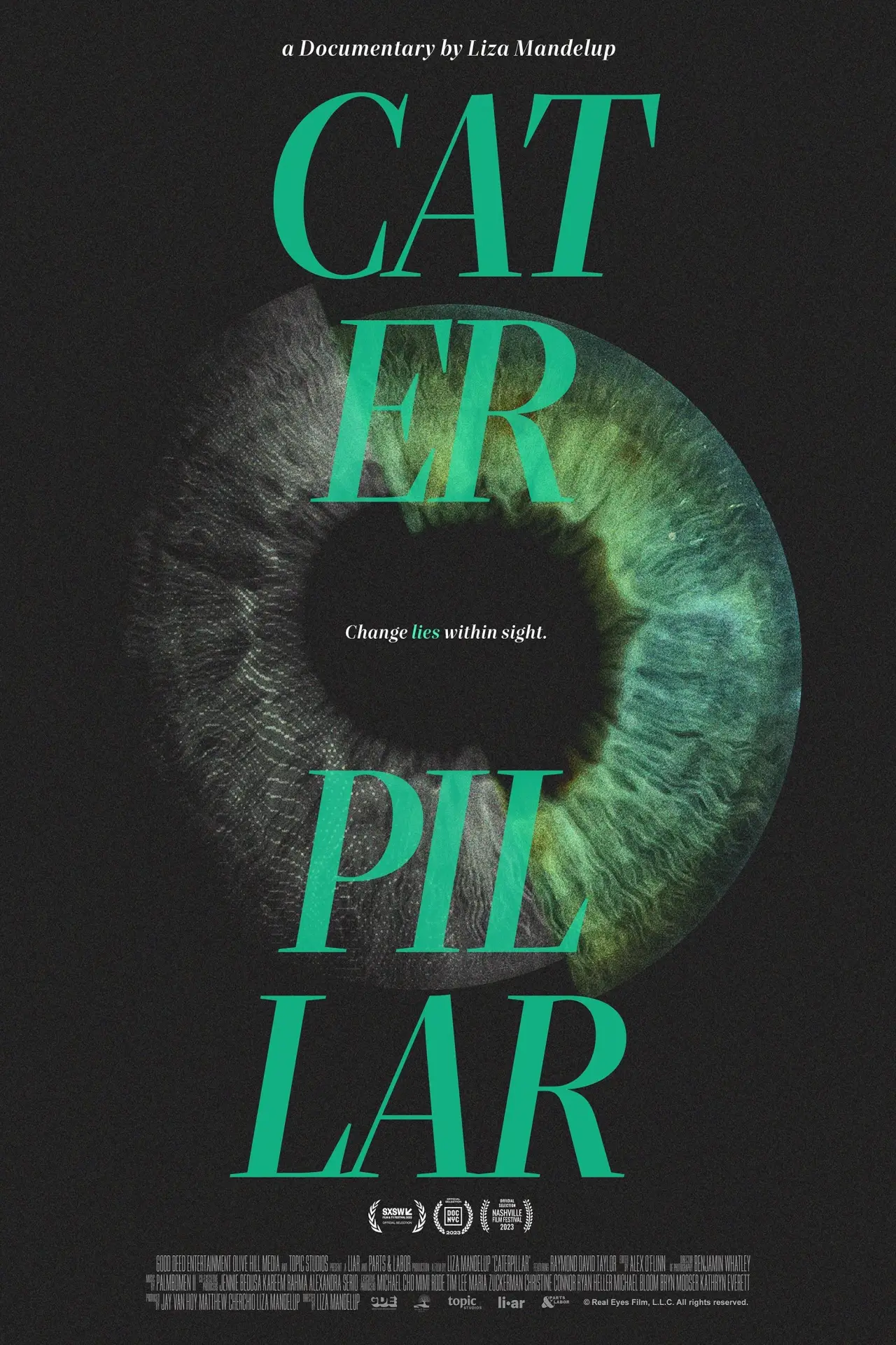 Movie poster "Caterpillar"