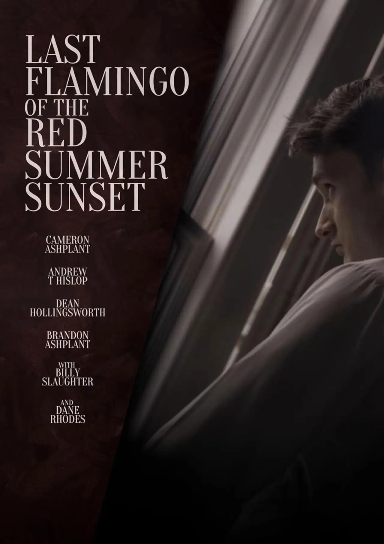 Movie poster "Last Flamingo of the Red Summer Sunset"