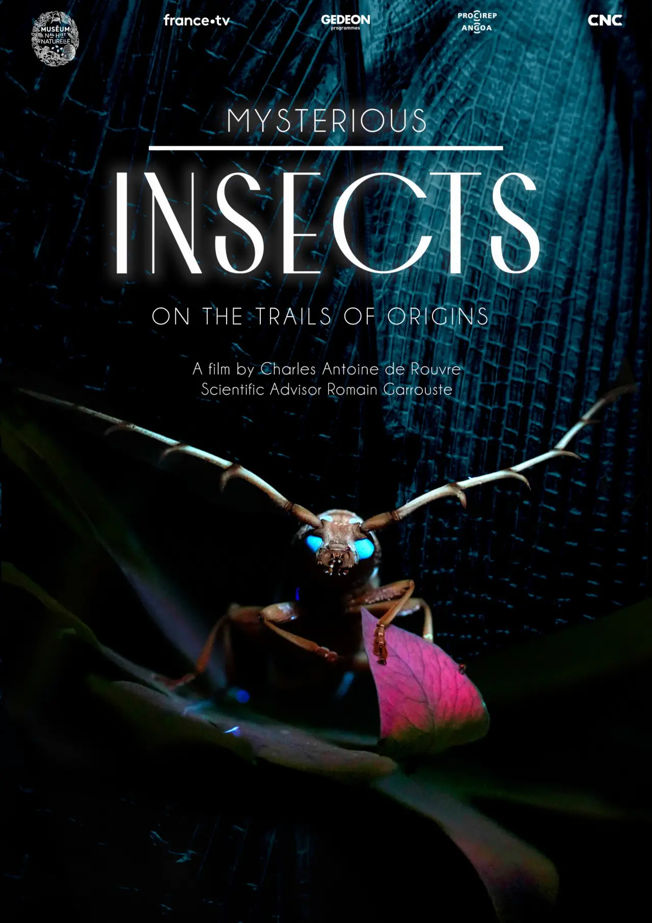 Movie poster "Mysterious Origins of Insects"