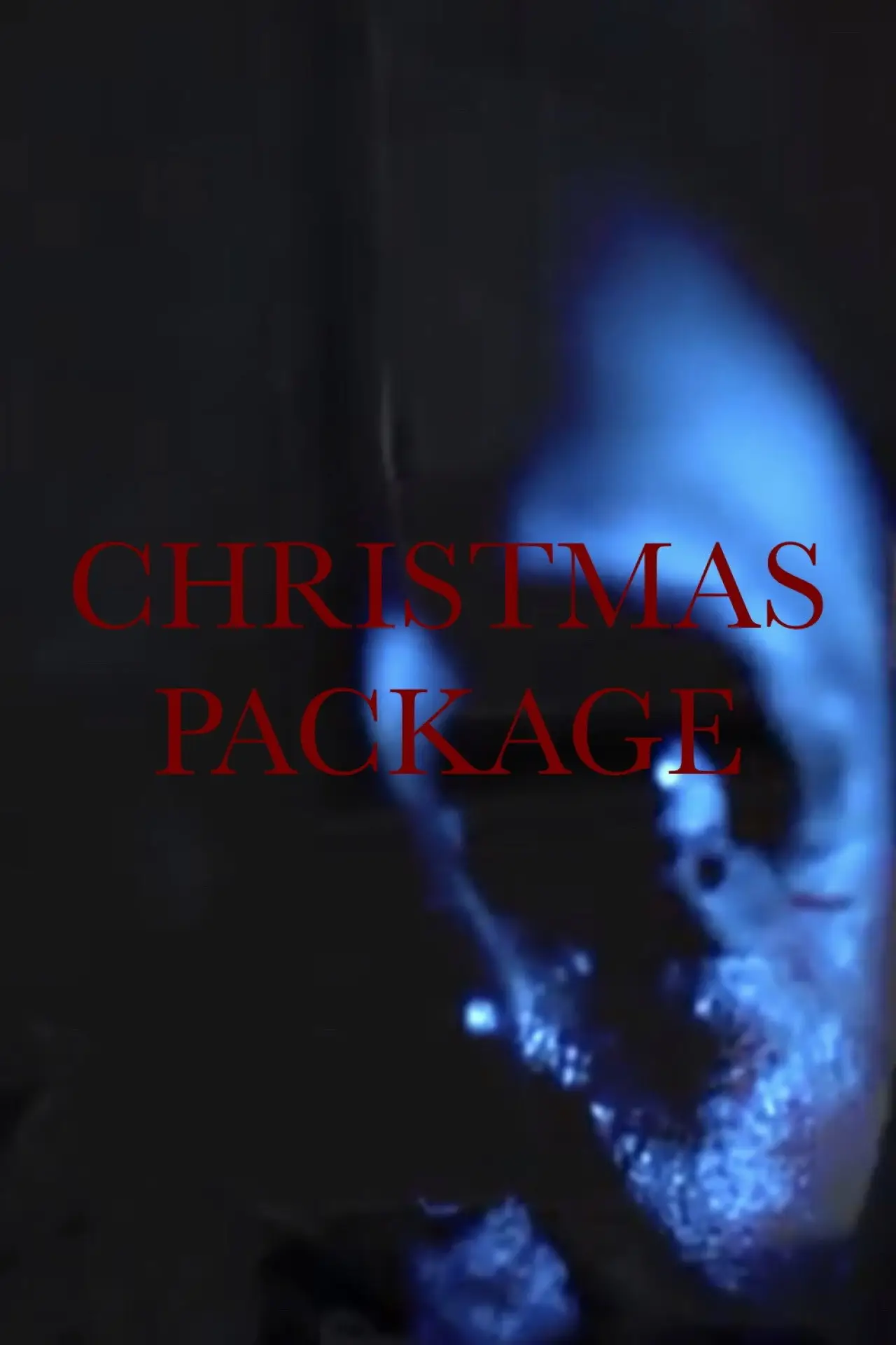 Movie poster "Christmas Package"