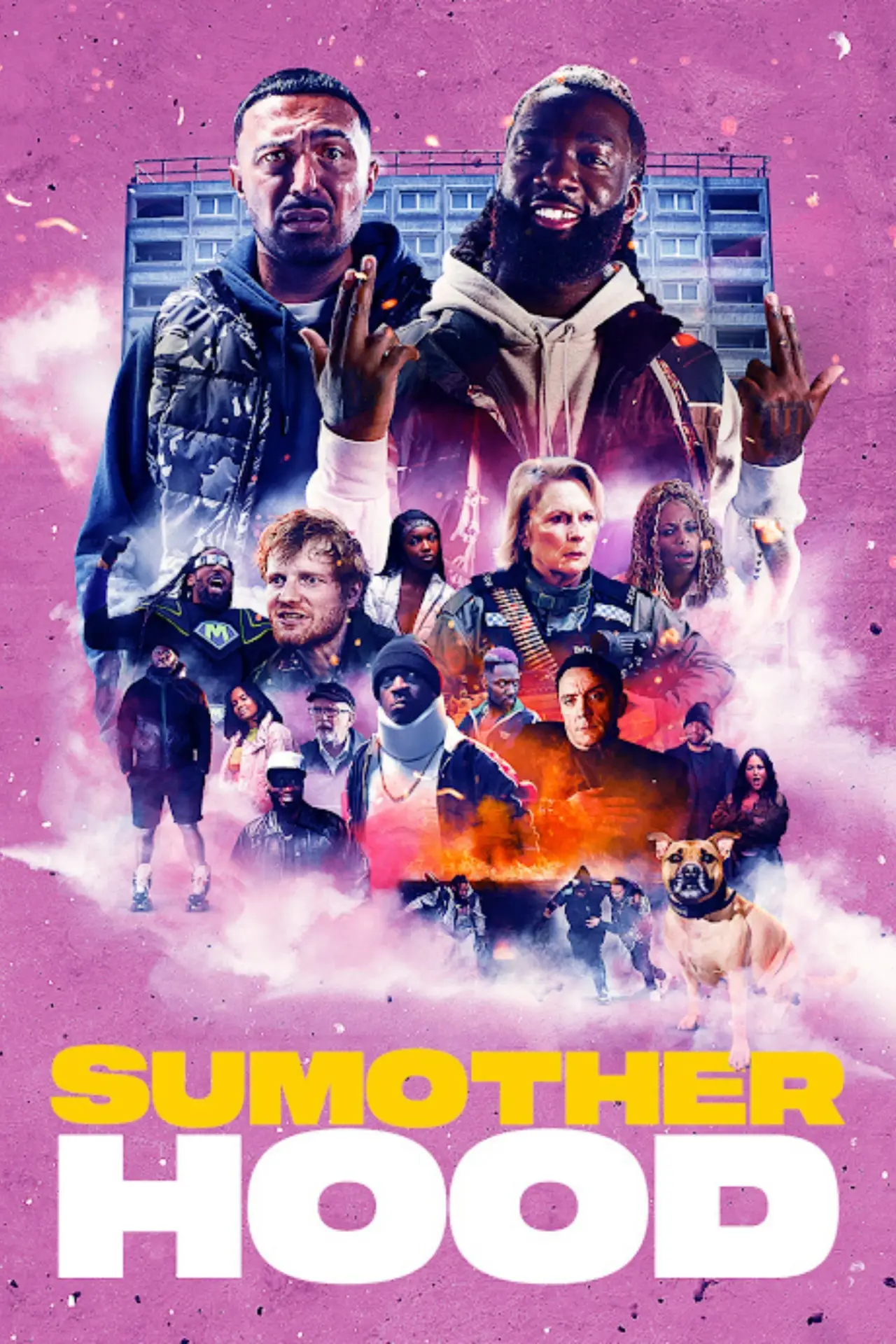 Movie poster "Sumotherhood"
