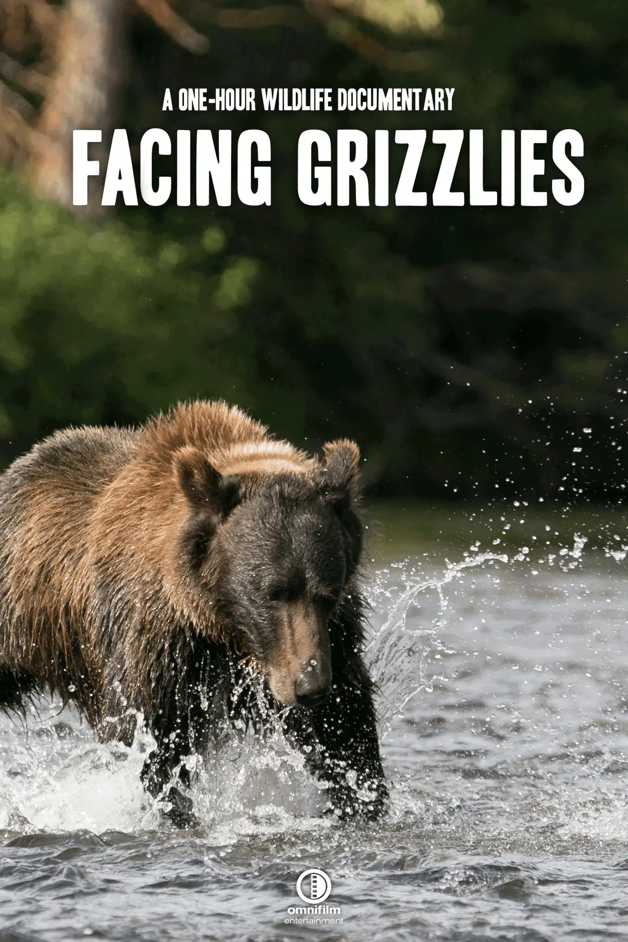 Movie poster "Facing Grizzlies"